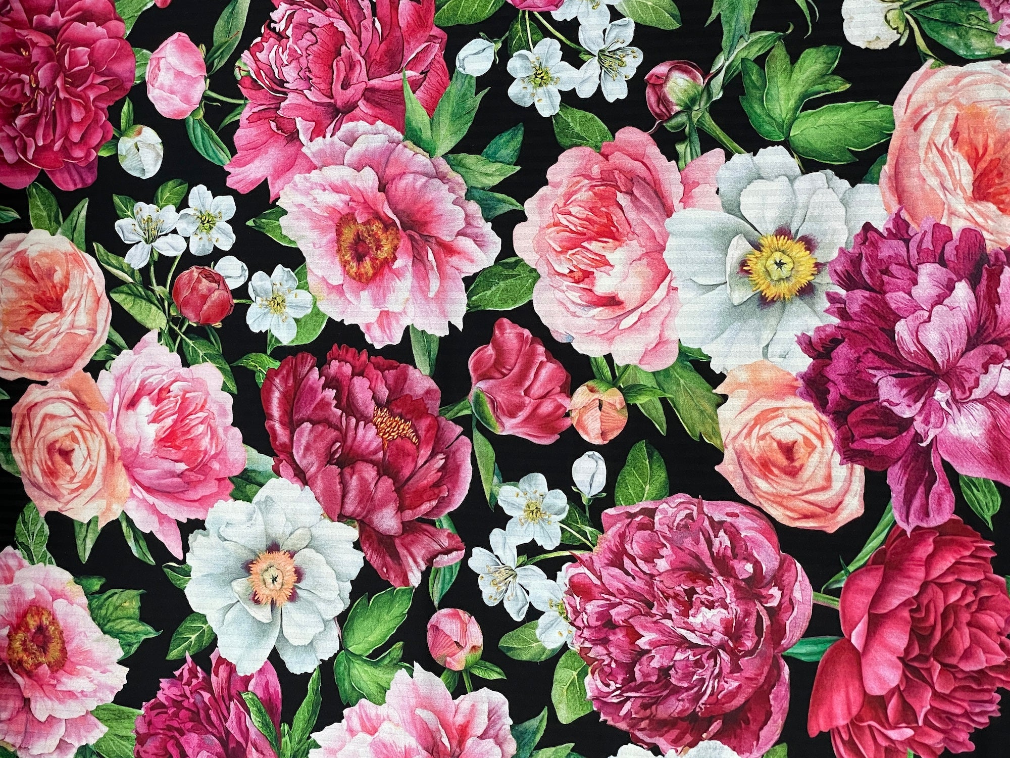 This black fabric is part of the Blush collection by Northcott Fabrics.&nbsp; You will find several shades of pink peonies, white peonies and peach roses.