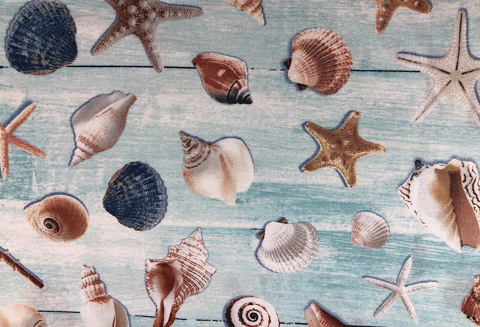 This fabric is called All Over Seashells and has various sea shells on a blue and white background.