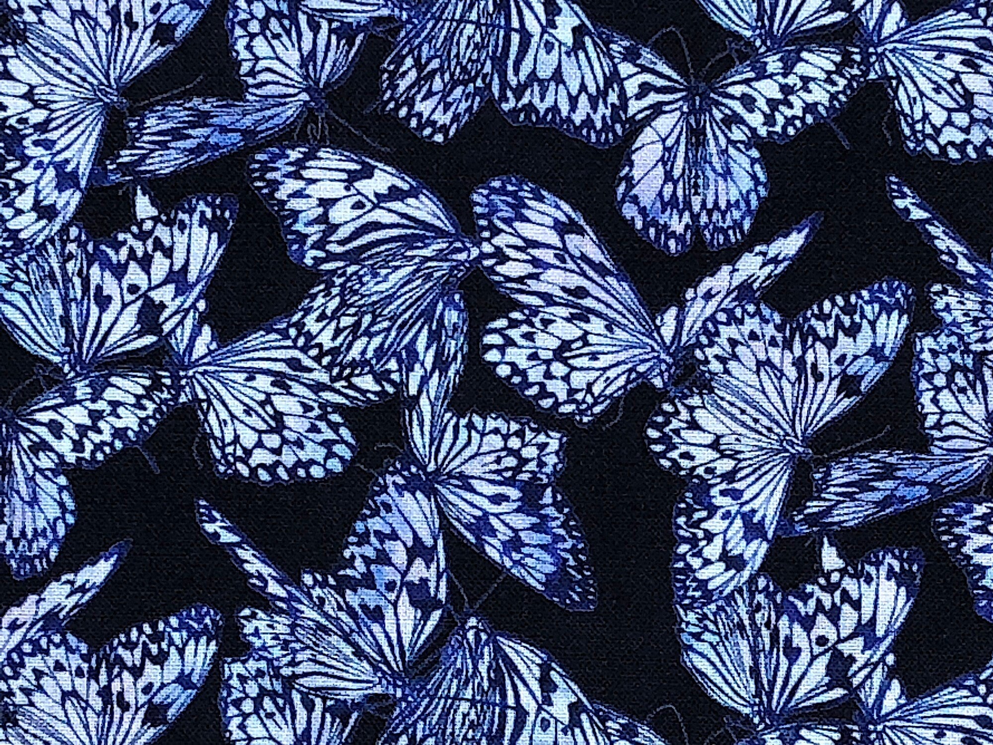 This dark navy fabric is covered with blue and white butterflies