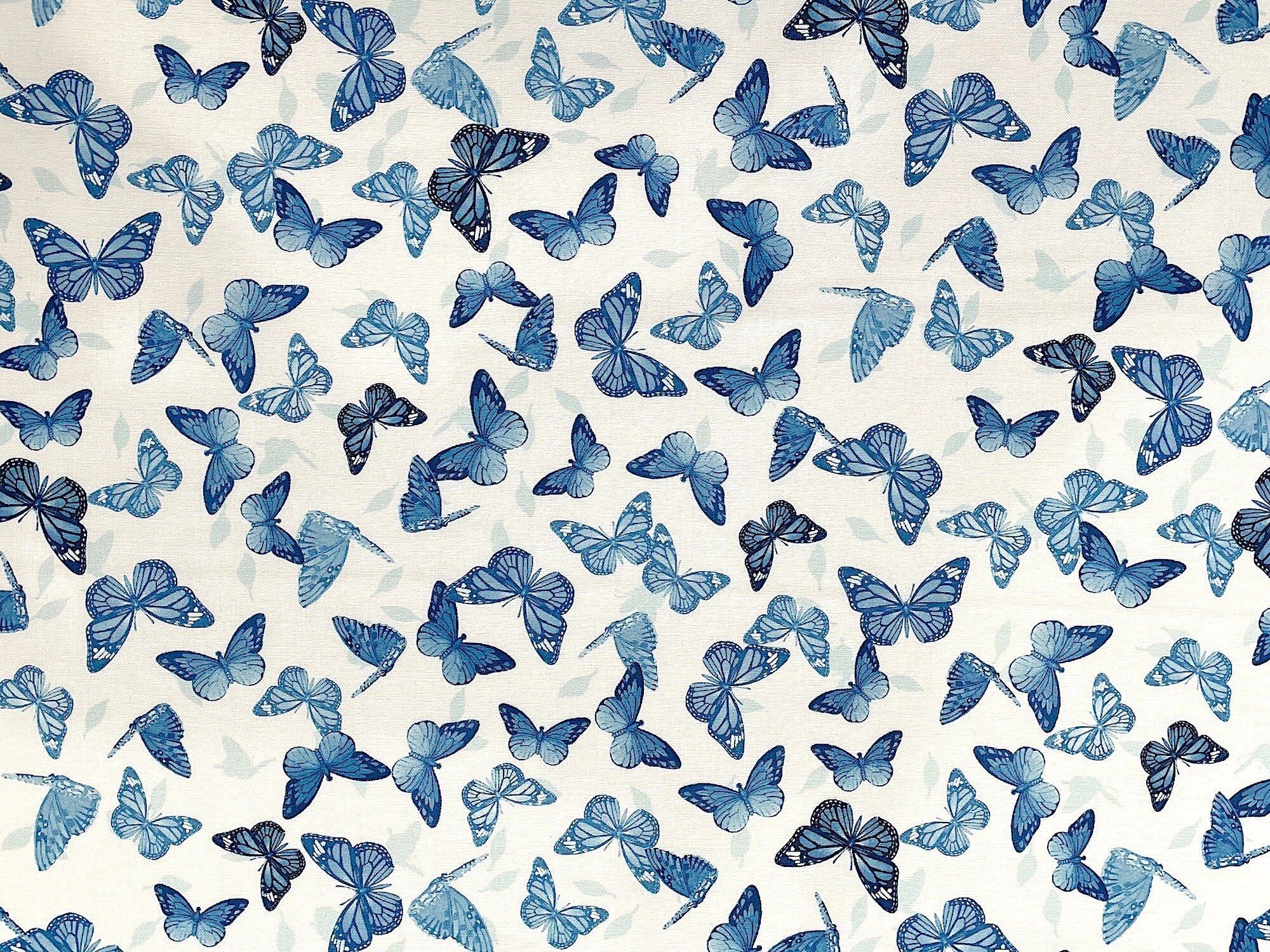 Pretty Blue Butterflies on a white background from the Chinoiserie Garden Collection
