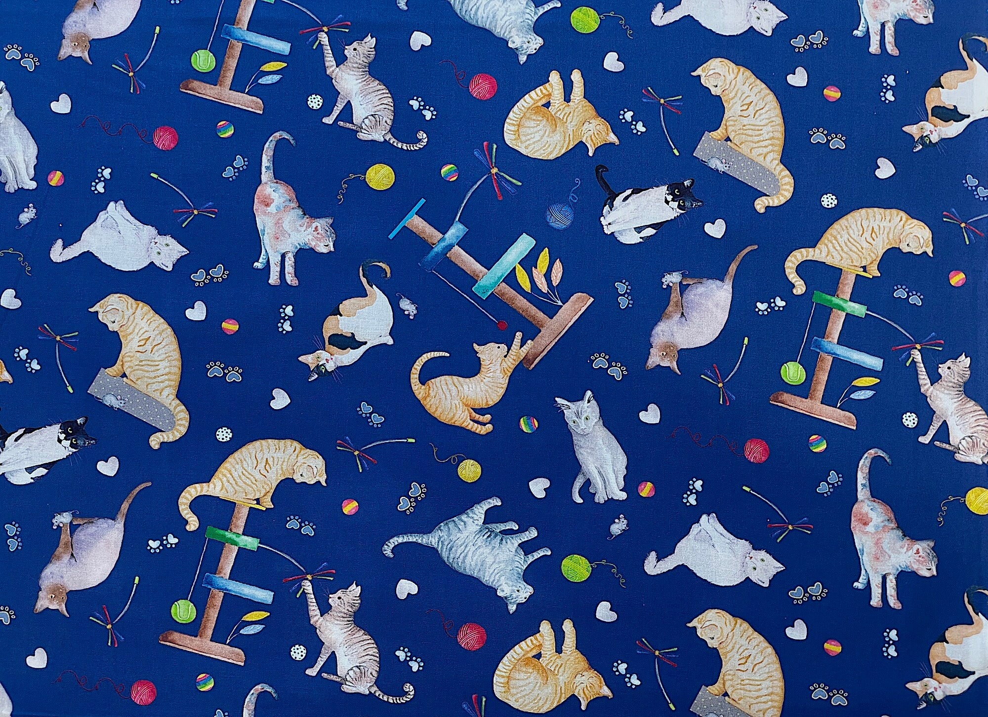Blue cotton fabric covered with cats playing on kitty cat trees.