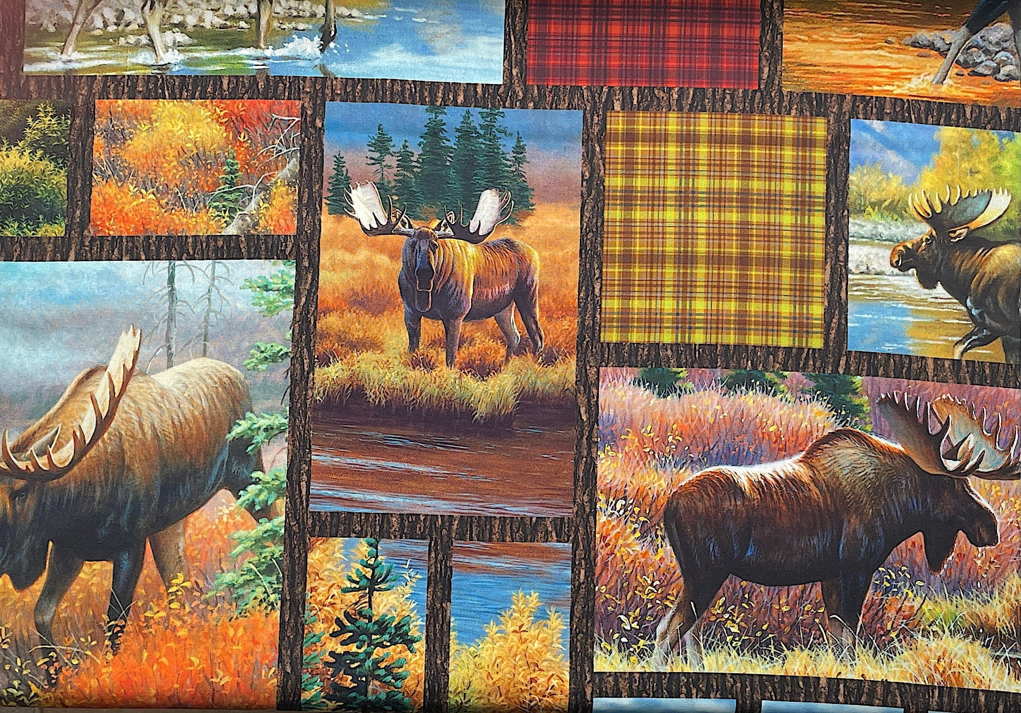 This fabric is called Moose Patches and is part of the Magnificent Moose collection by QT Fabrics. This cotton fabric has squares and each square has something different in it such as moose, trees, water, plaid pattern and more.