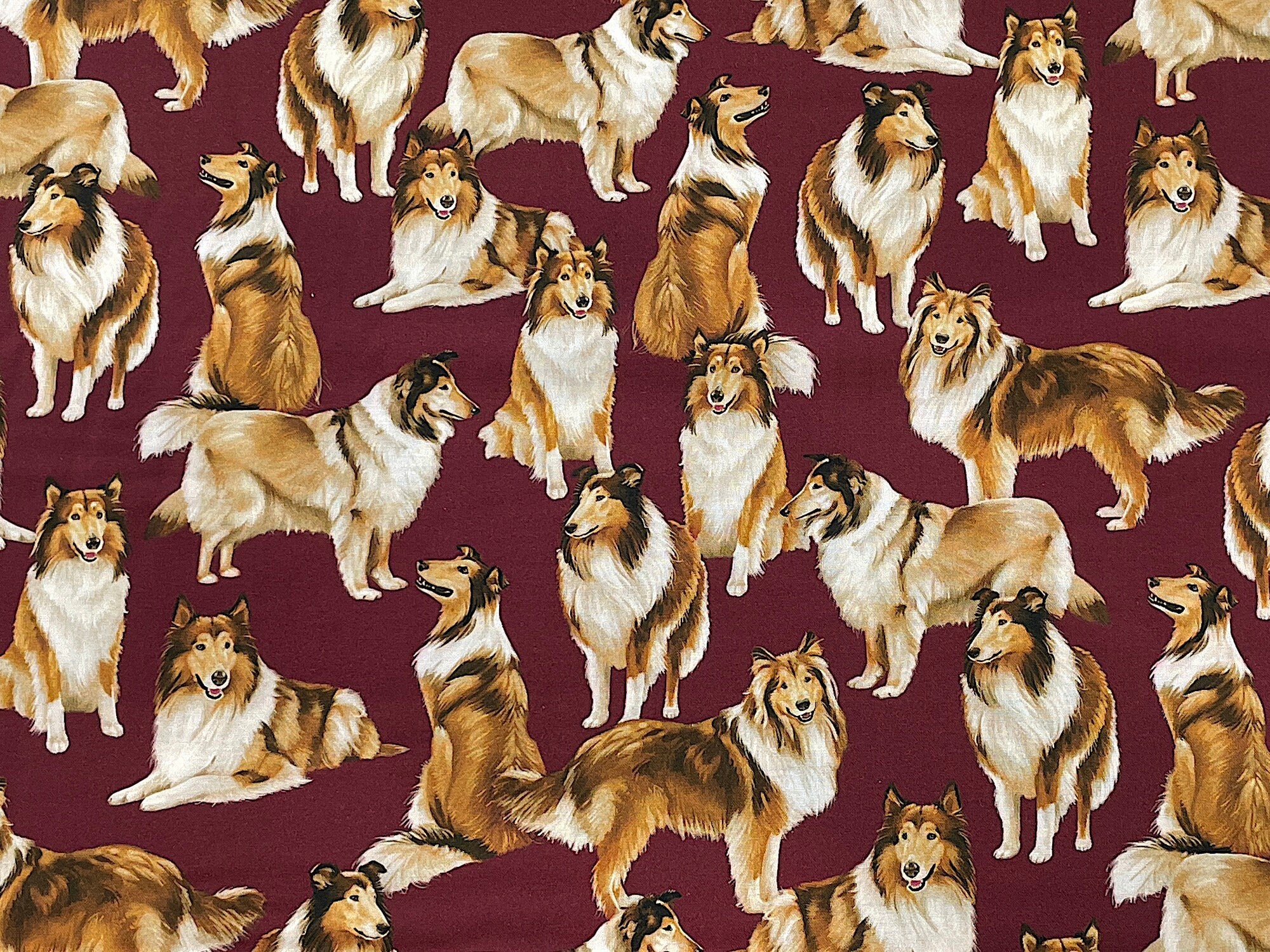 This burgundy fabric is covered with collies. Some of the collies are standing and others are laying down.