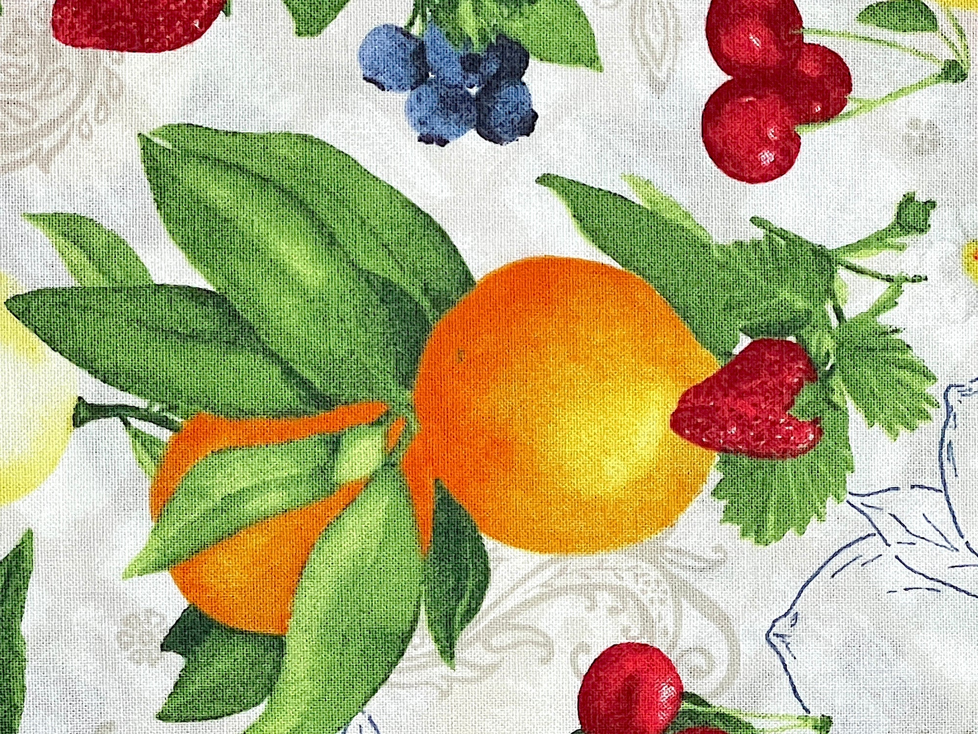 Close up of oranges.