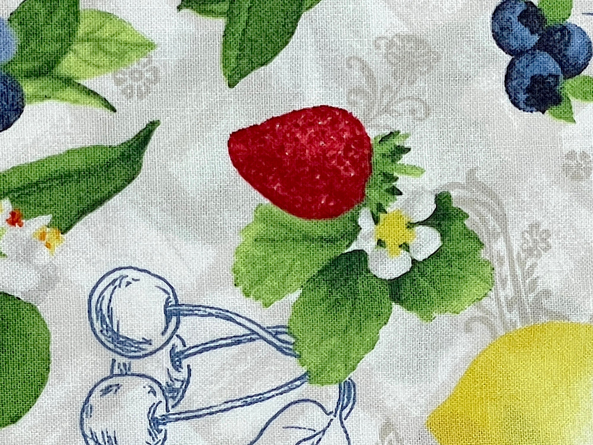 Close up of a strawberry.