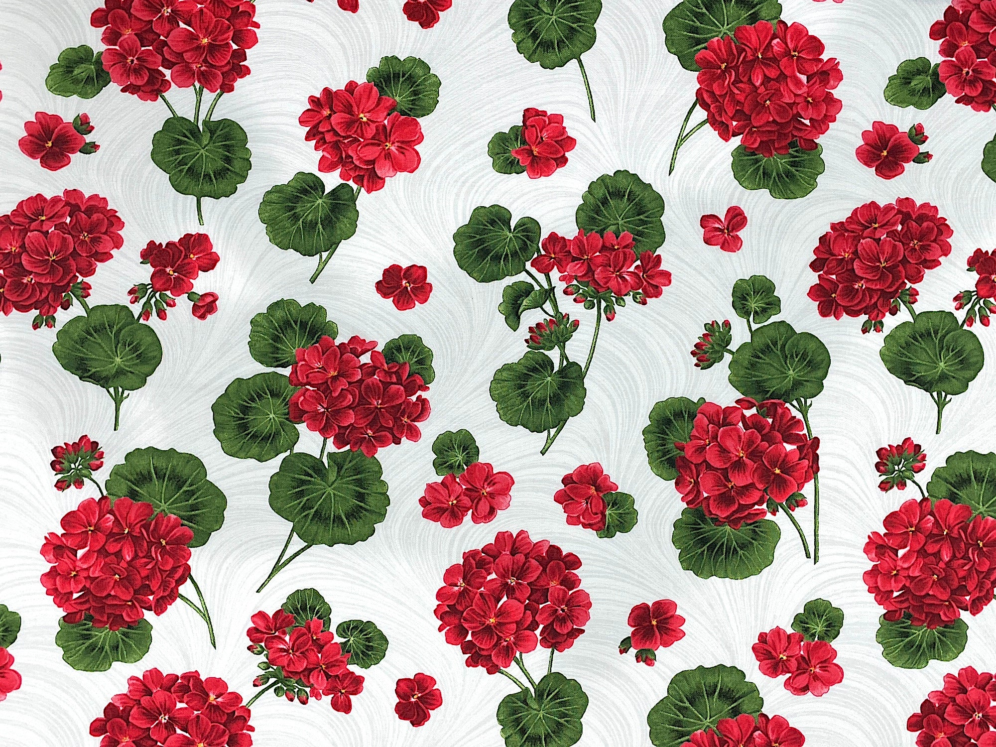White Cotton fabric covered with red geraniums and green leaves .