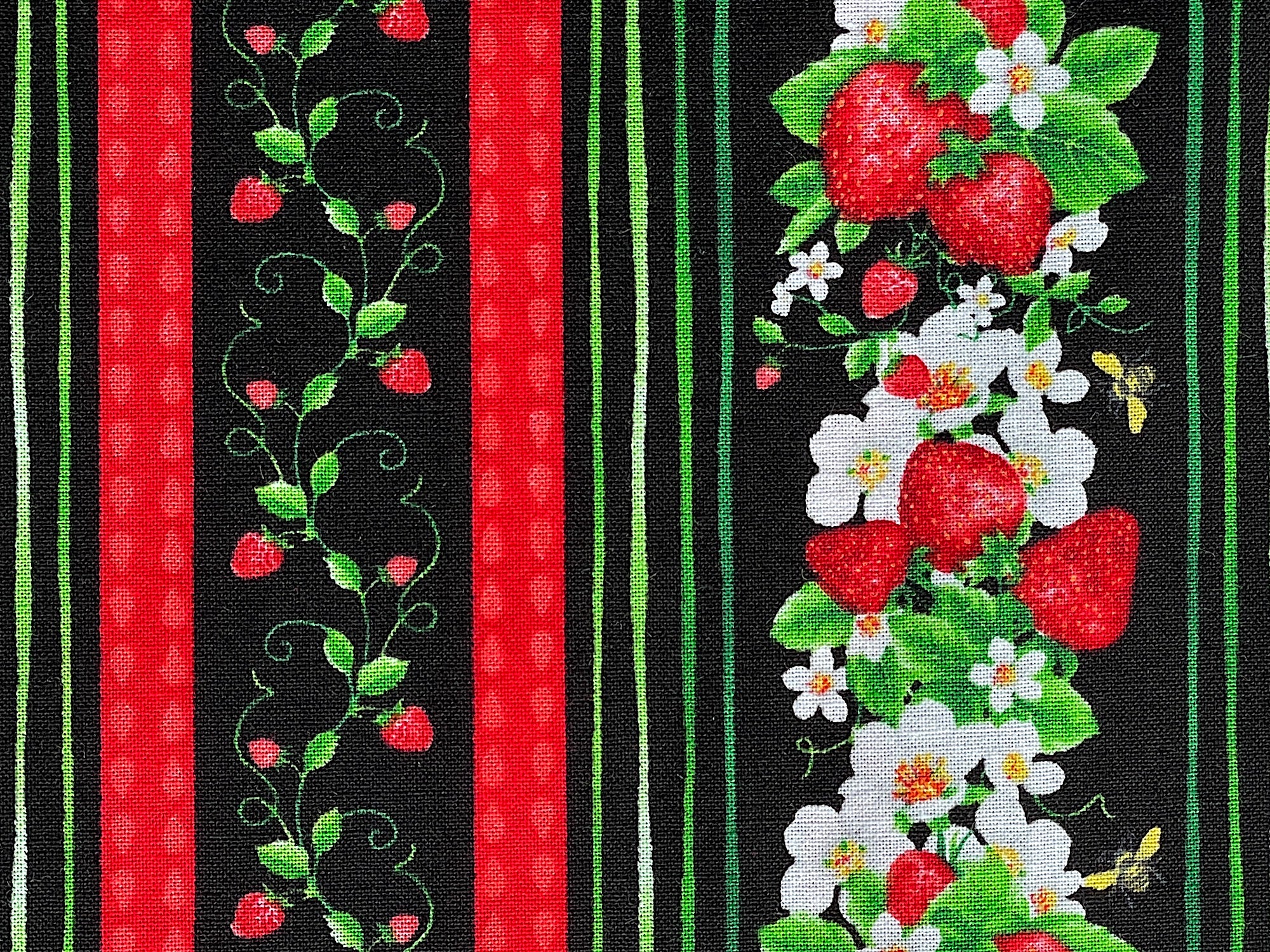 Close up of red and green stripes and row of strawberries with flowers and leaves.