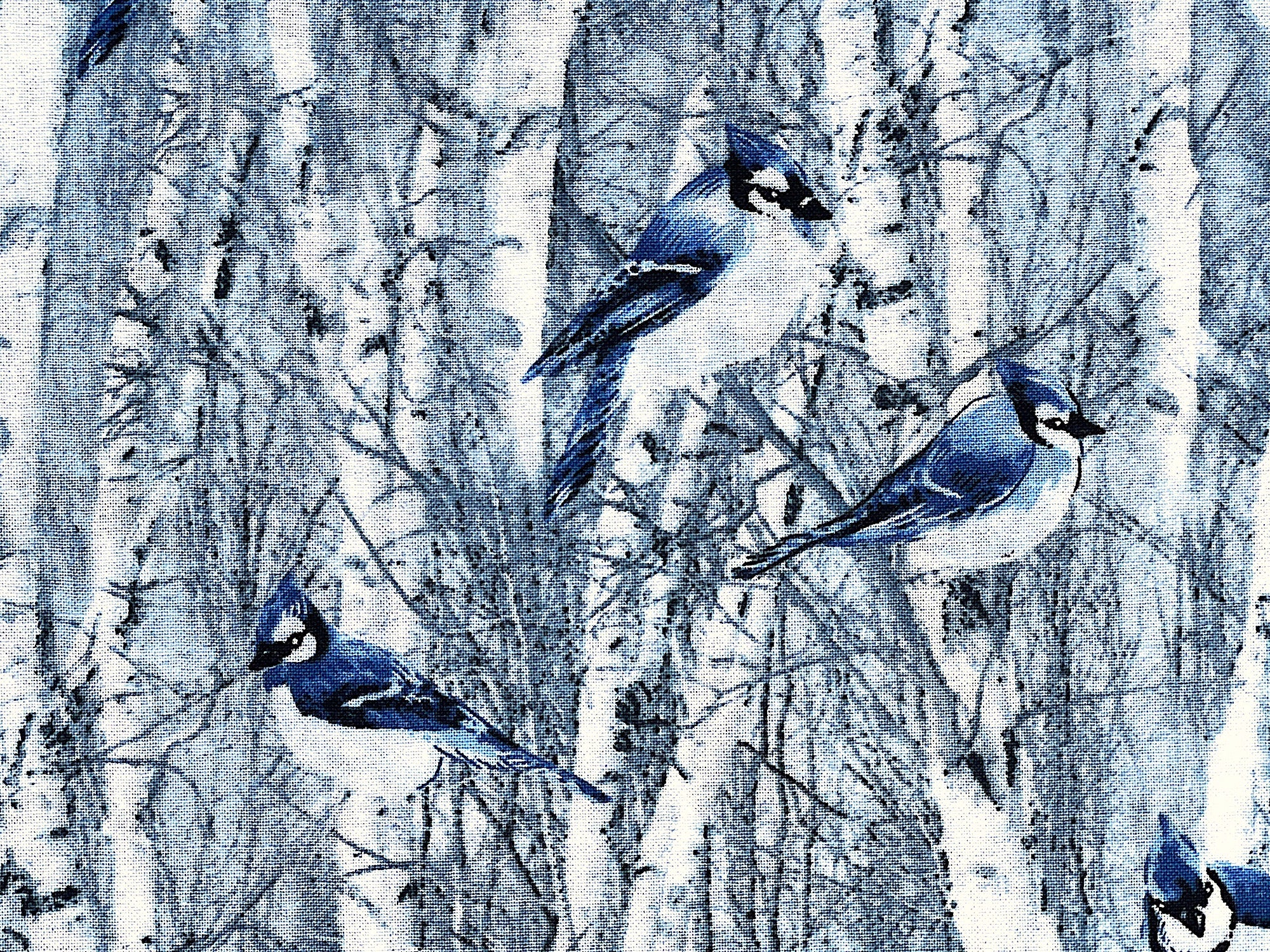 Close up of bluebirds sitting on tree branches.
