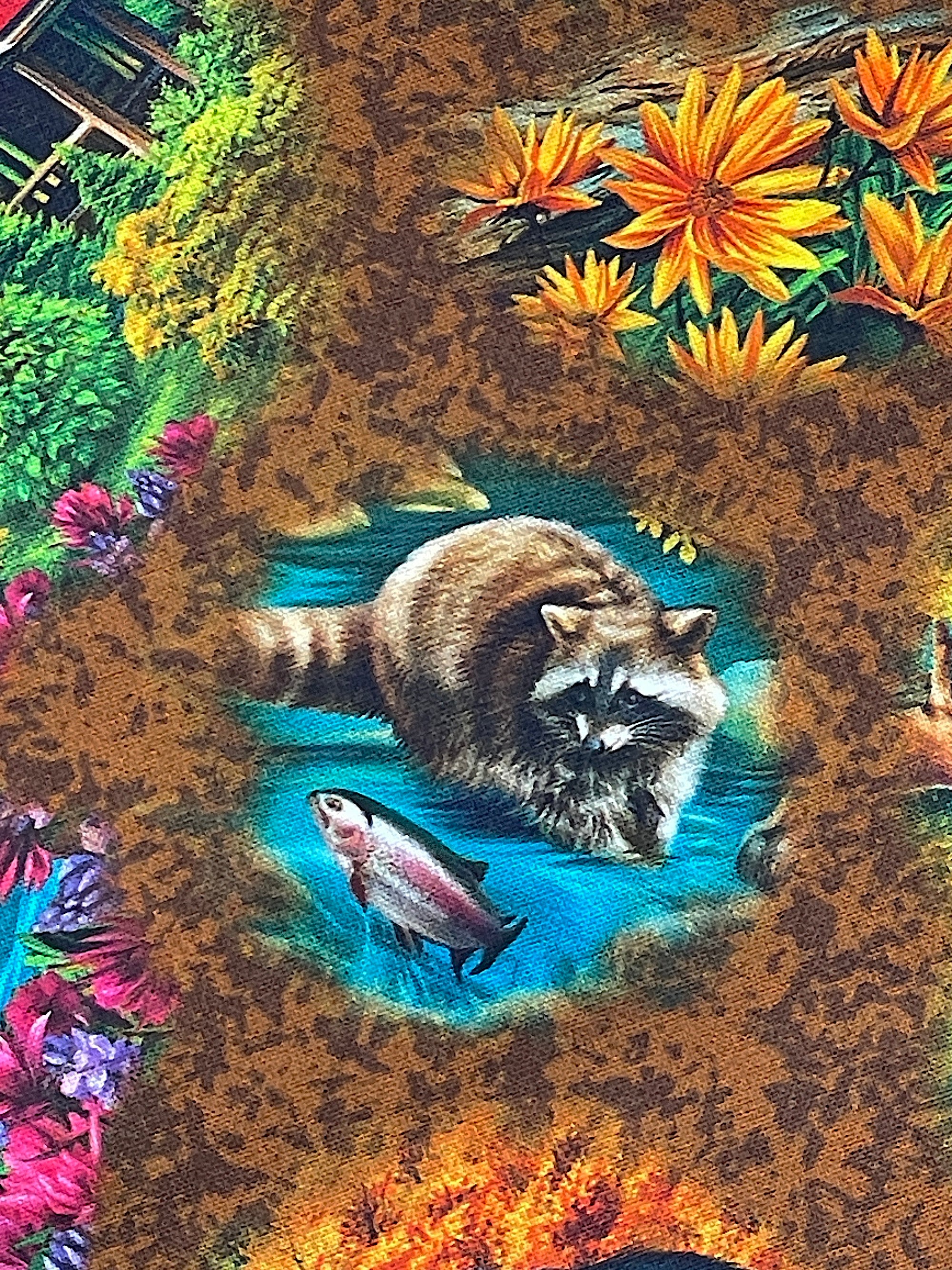 Close up of a raccoon hunting a fish.