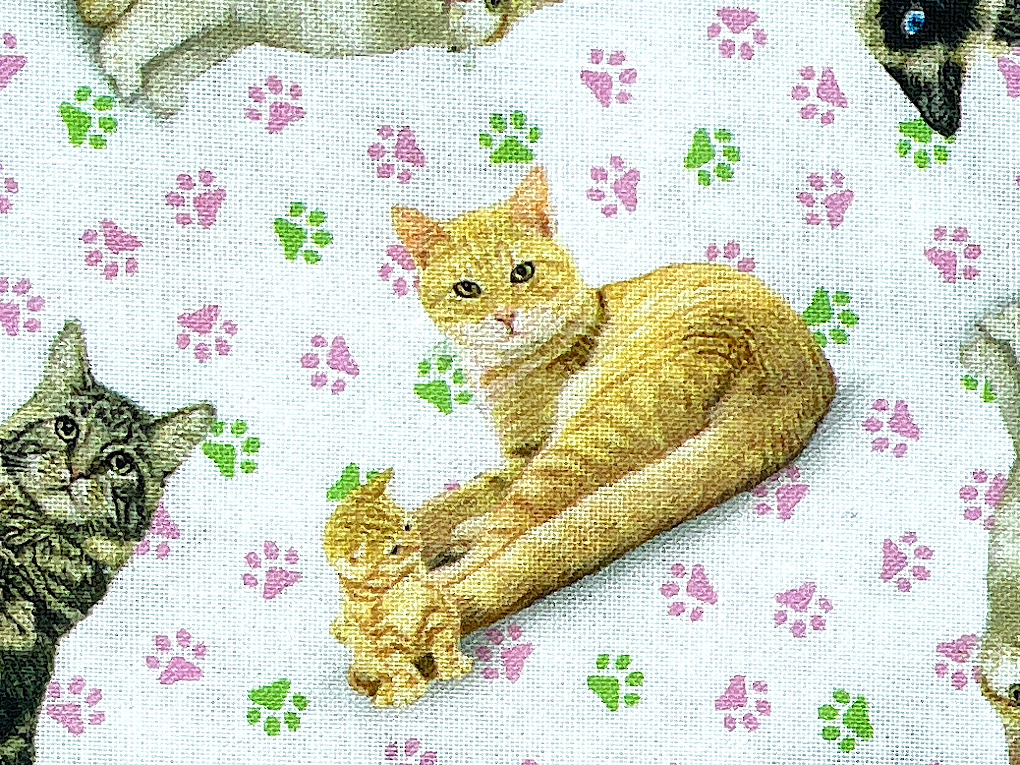 Mom and kitten together surrounded with pink and green paws.