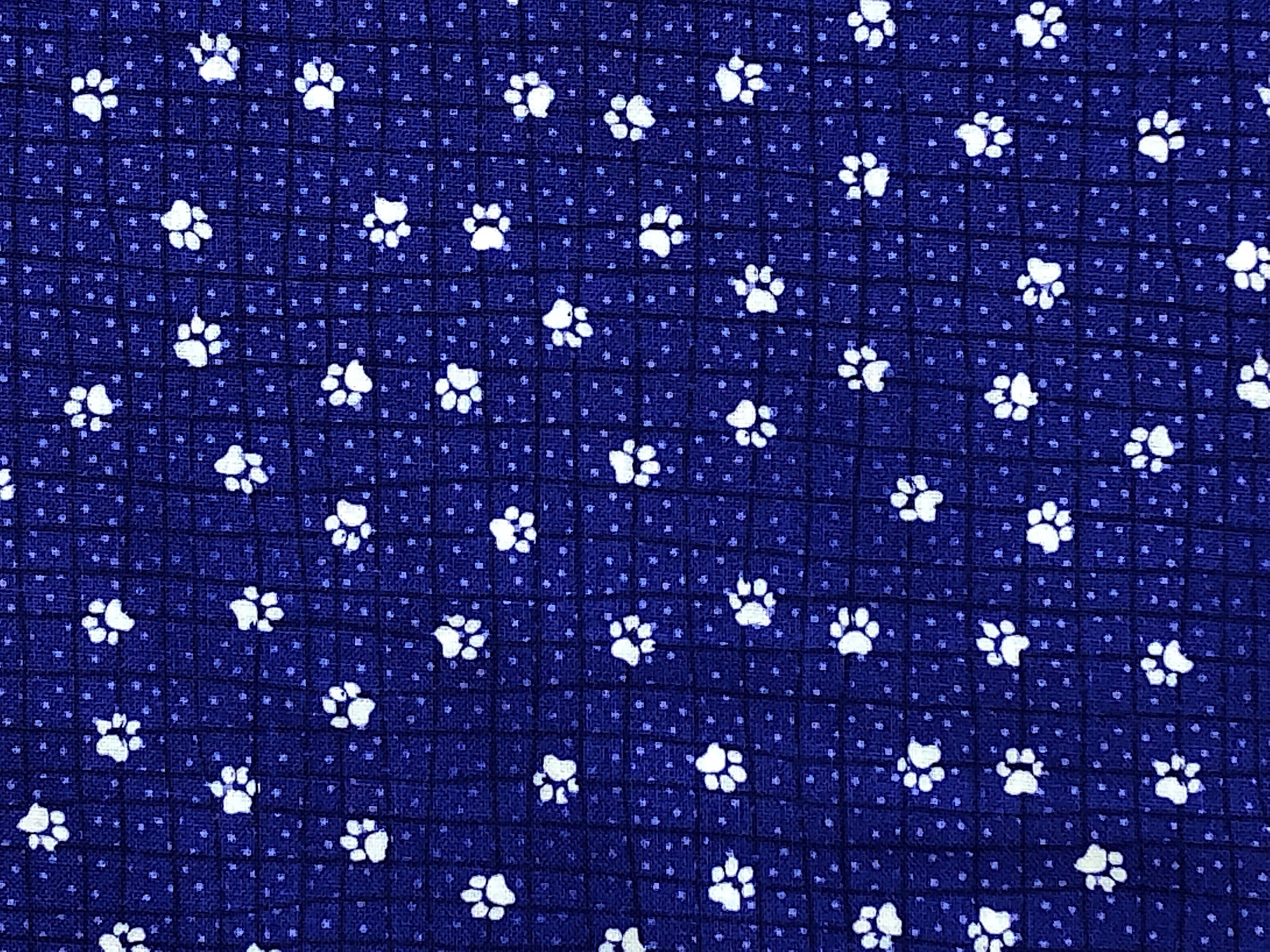 Close up of white paw prints on a blue background.