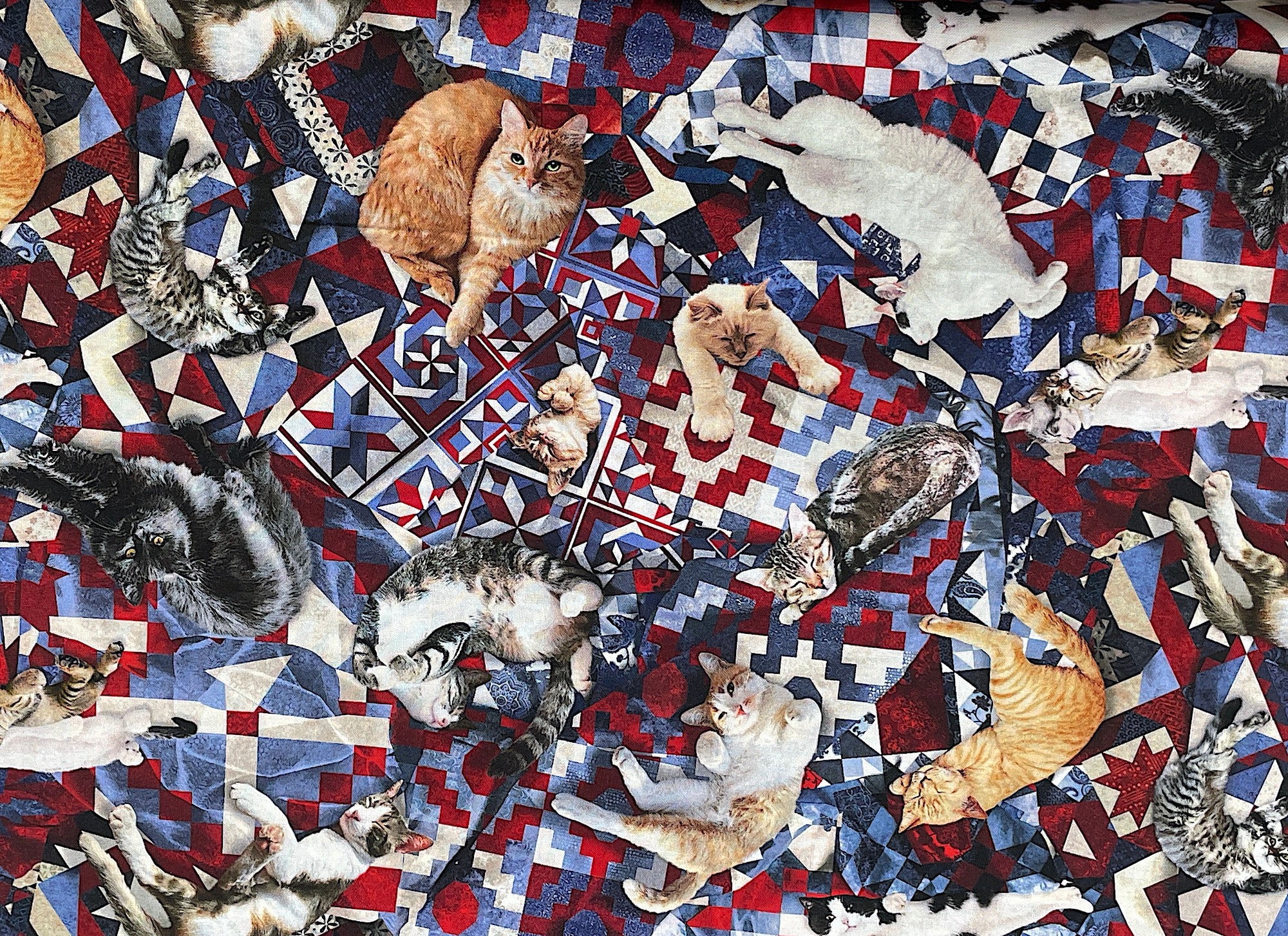This cotton fabric looks like a quilt covered with cats.  The cats are in various poses, some of the cats are sleeping, some are stretching, others are just sprawled out with not a care in the world.