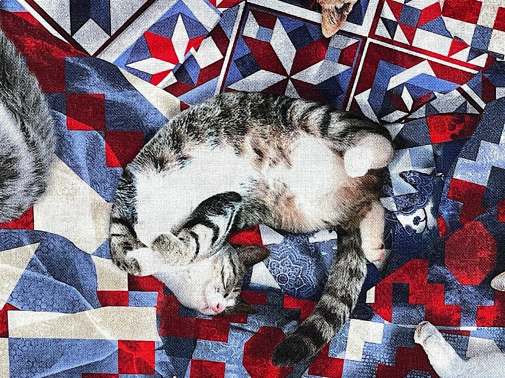 Close up of a cat laying upside down on a quilt.