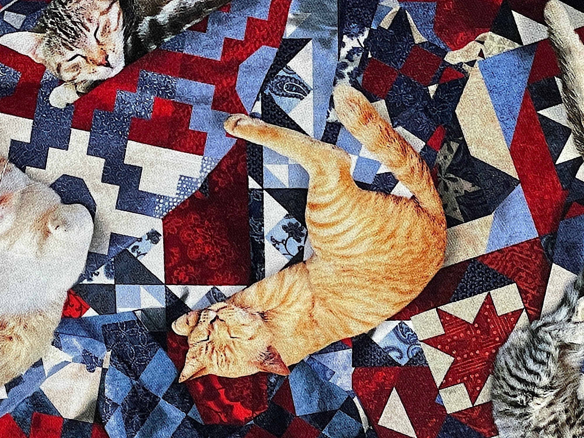 Close up of a cat sleeping on a quilt.