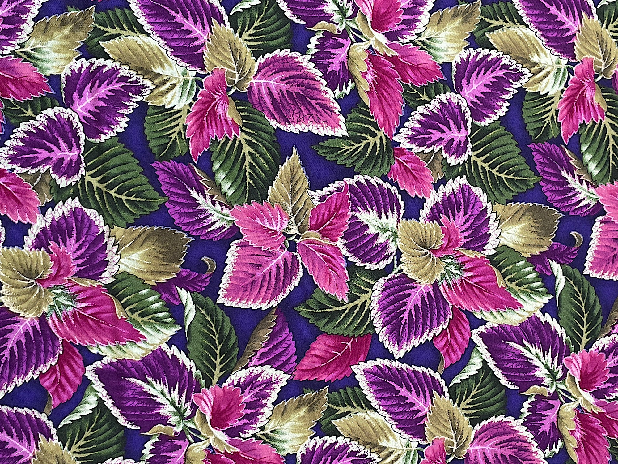 Cotton fabric covered with Coleus.