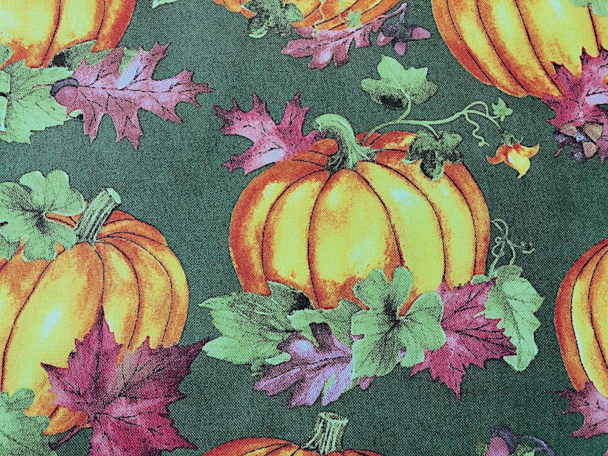 Close up of pumpkins surrounded by leaves.