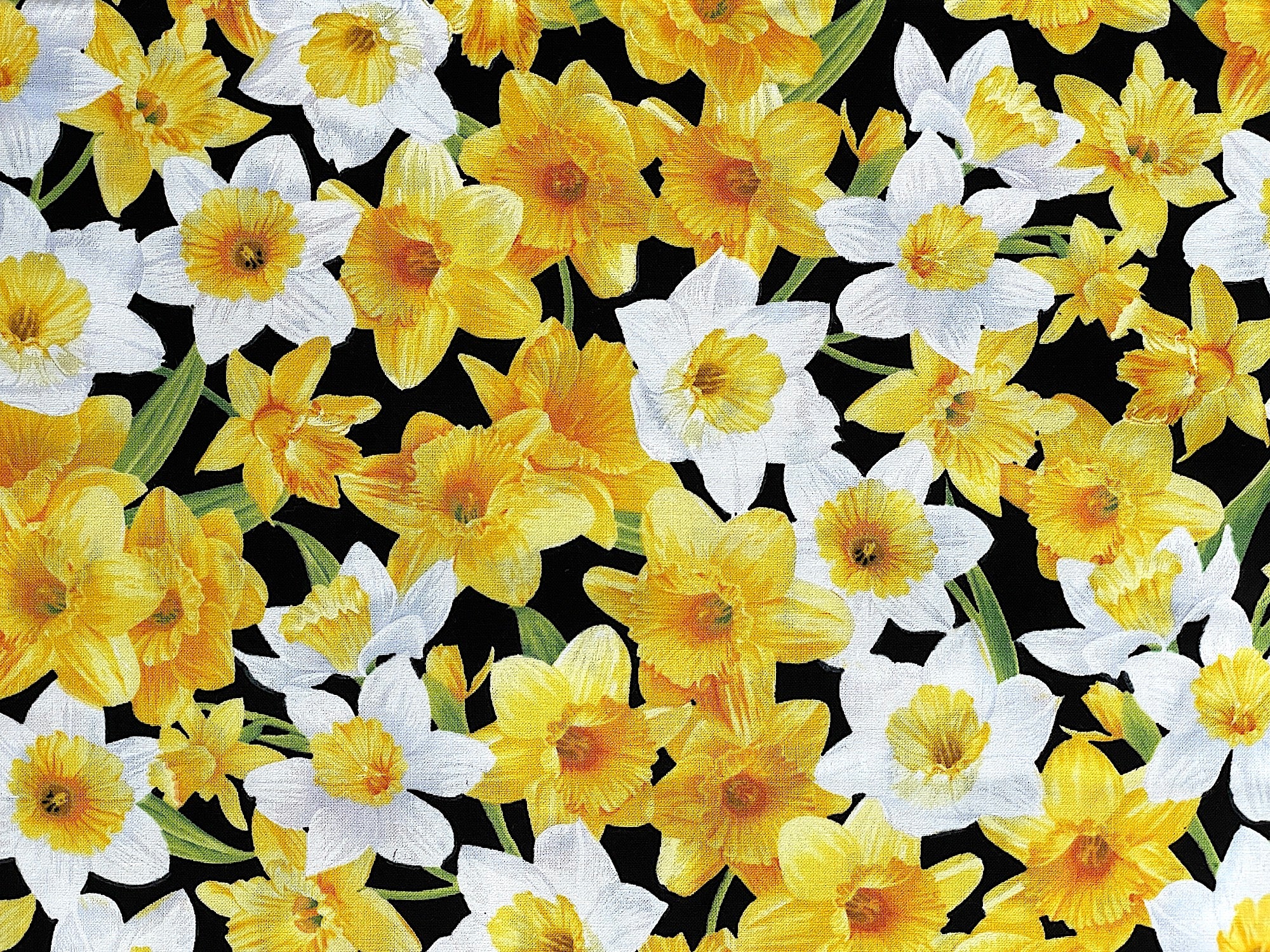 Black cotton fabric covered with yellow and white daffodils and green leaves.