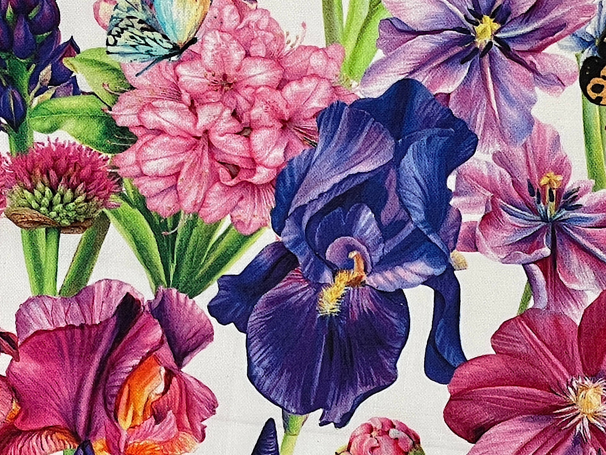 Close up of a purple/blue iris.