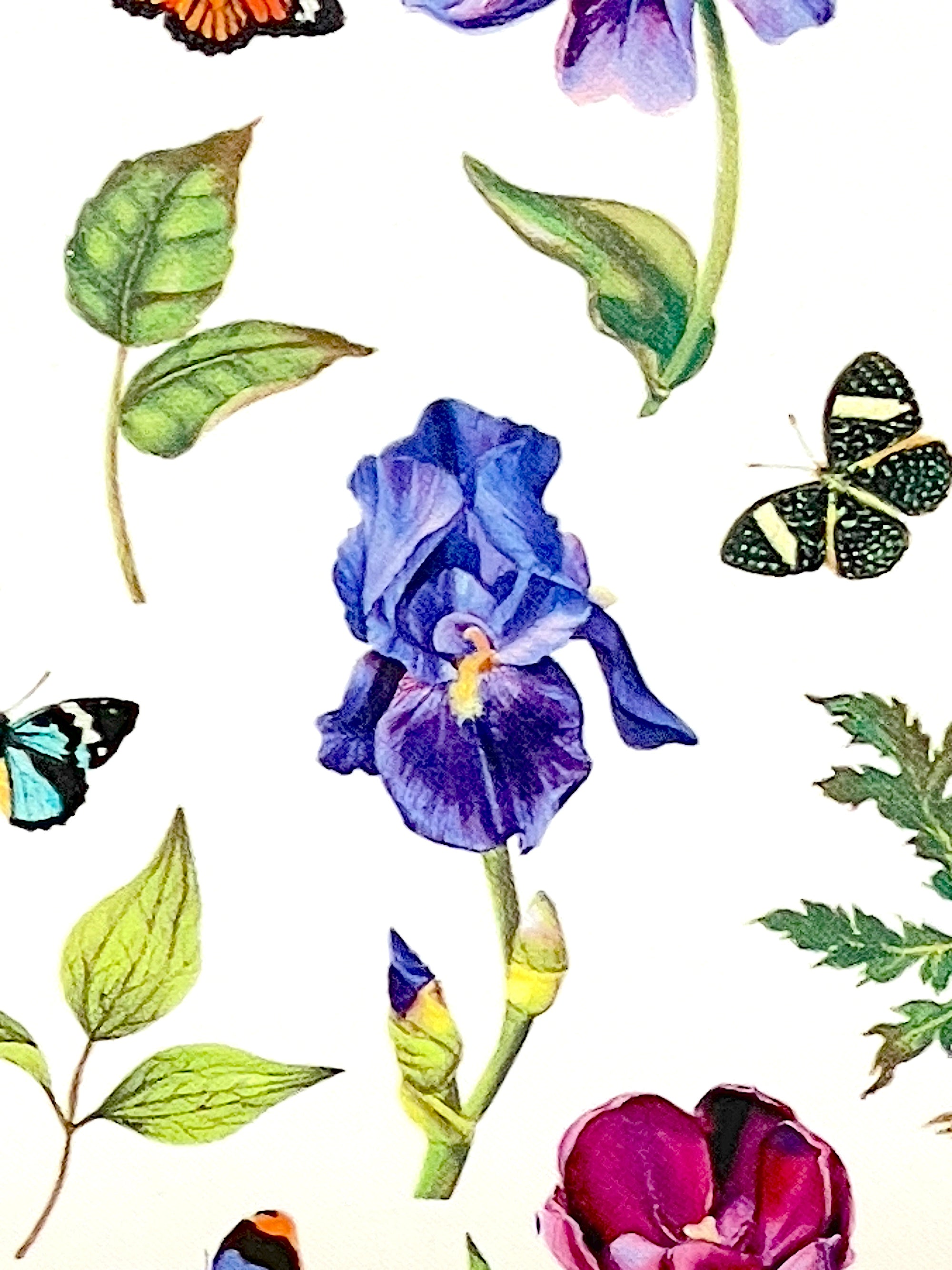 Close up of a blue iris.