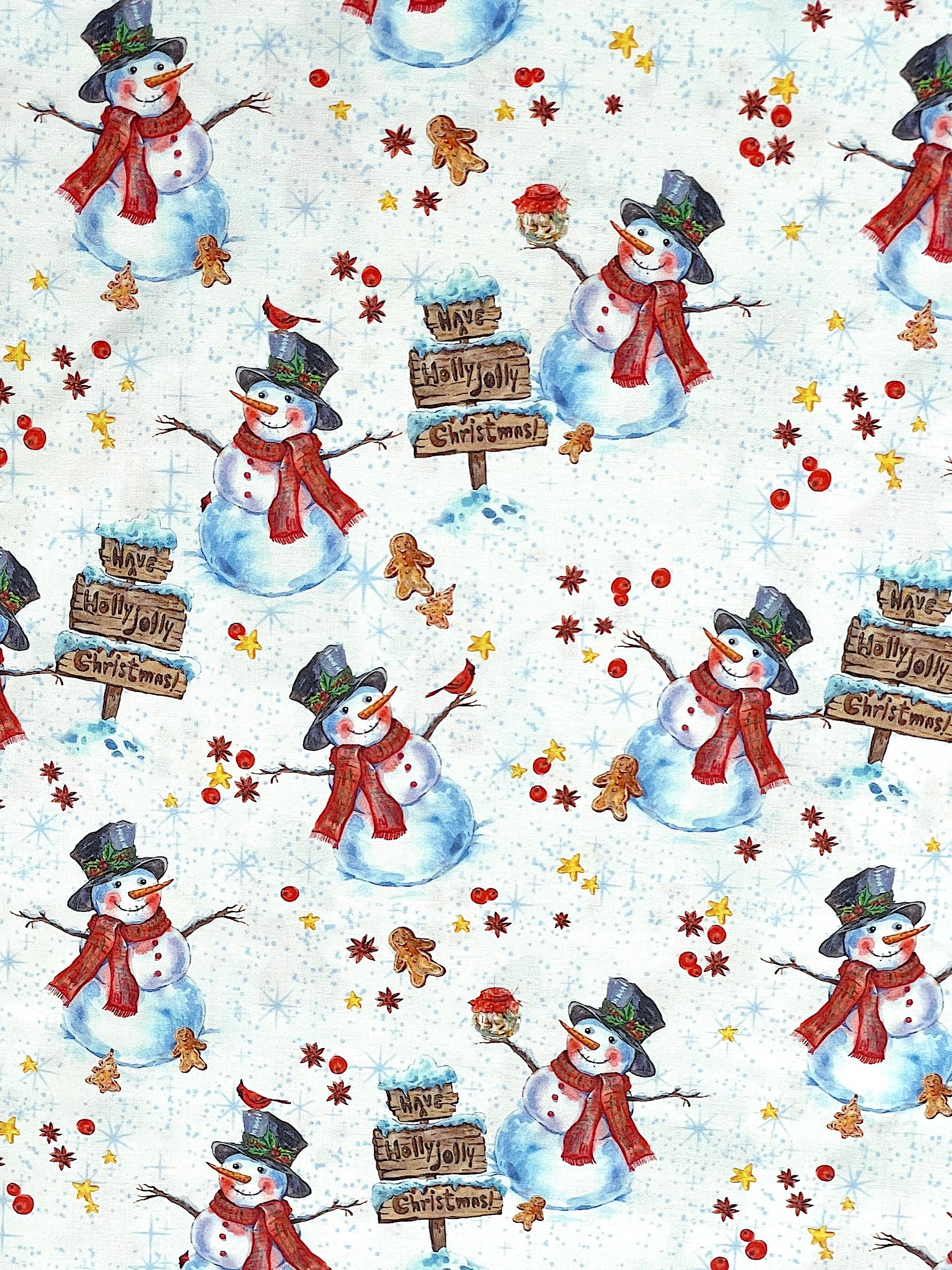 This fabric is part of the Frosty Delights collection by Paintbrush Studio.&nbsp; This white fabric is covered with snowmen, gingerbread men a a sign that says Have a Holly Jolly Christmas