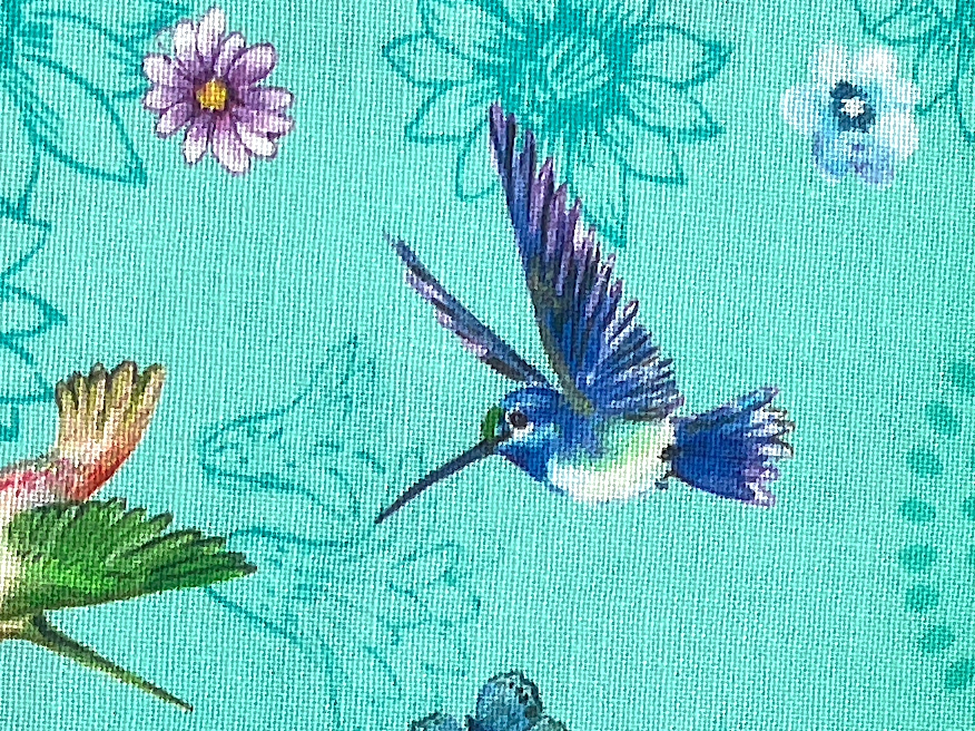 Close up of a blue and white hummingbird.