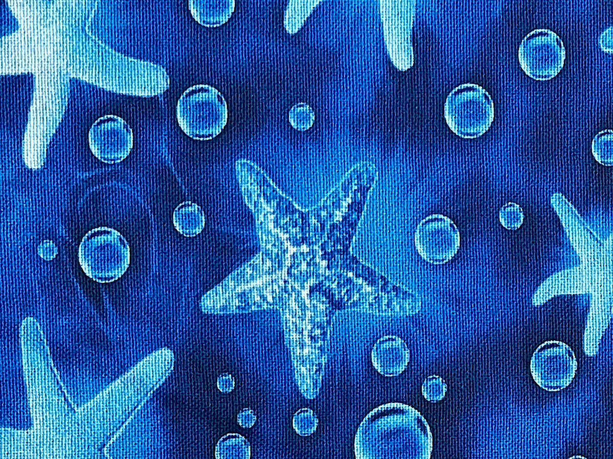 Close up of a starfish and bubbles.