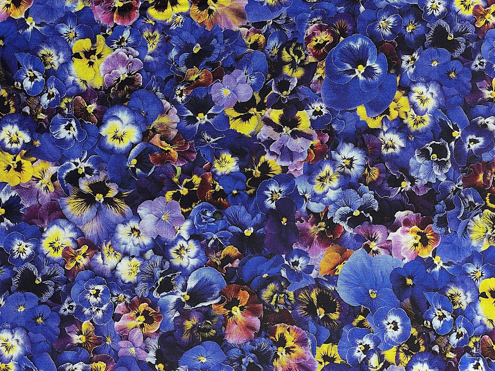 This fabric is part of the Hand Picked collection by Maywood Studio. You will find purple, yellow and white pansies packed in this cotton fabric