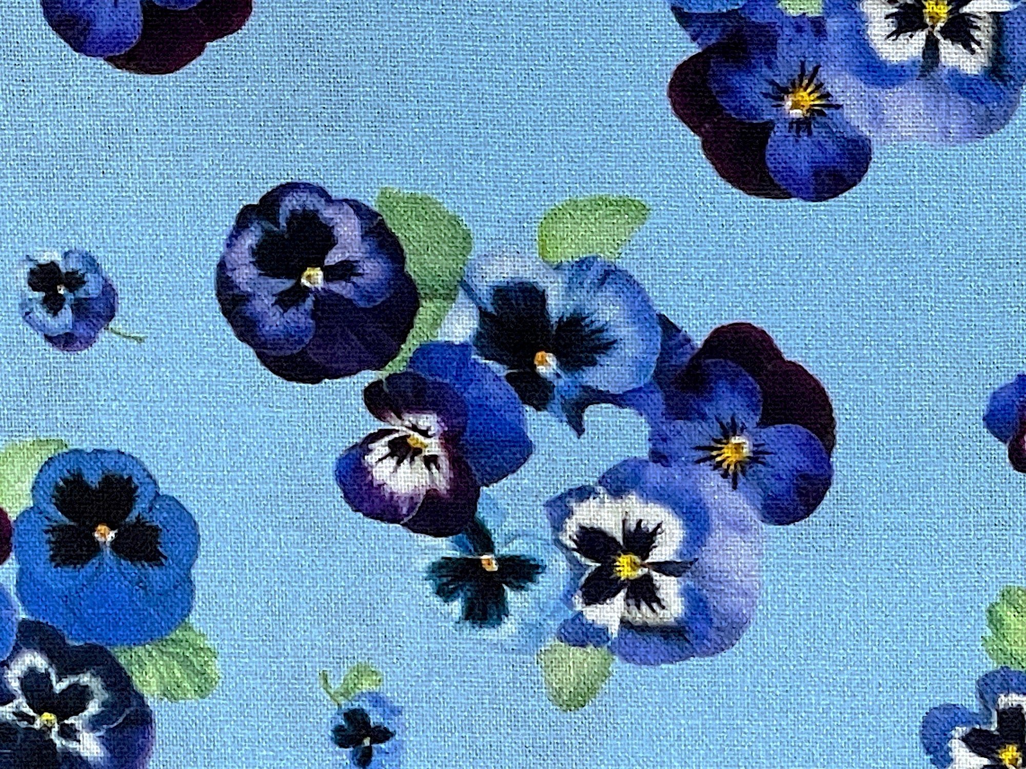 Close up of pansies that are a combination of blue, white,purple and yellow.