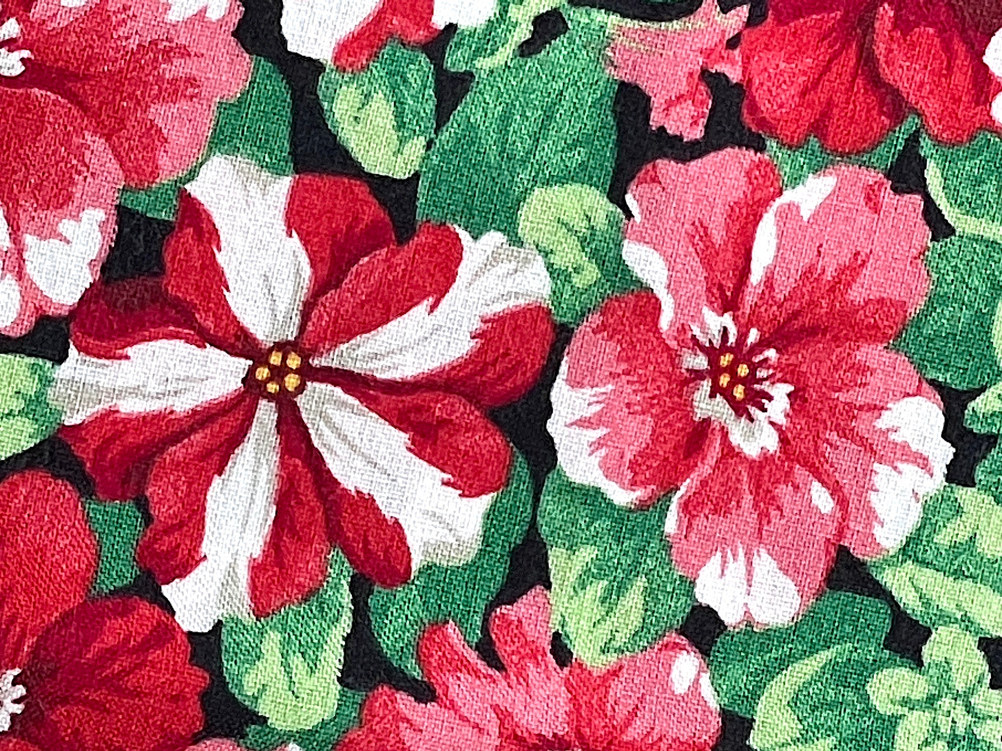 Closeup of red and white striped petunia with a pink petunia