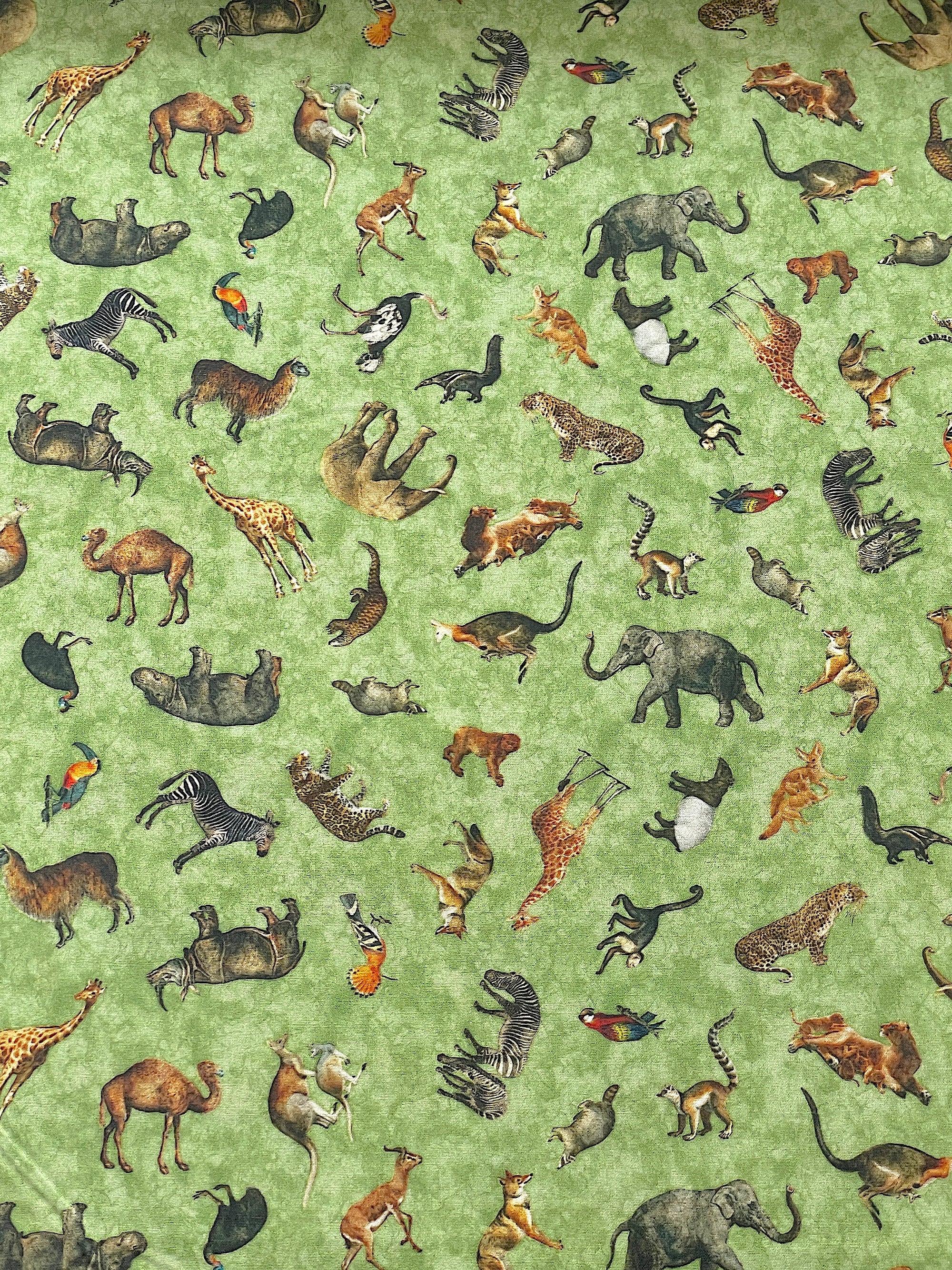 This fabric is called Safari Dreams animal toss.  This green cotton fabric is covered with zebras, elephants, giraffe, llamas, rhinos, tiers and other animals you would find in the zoo.