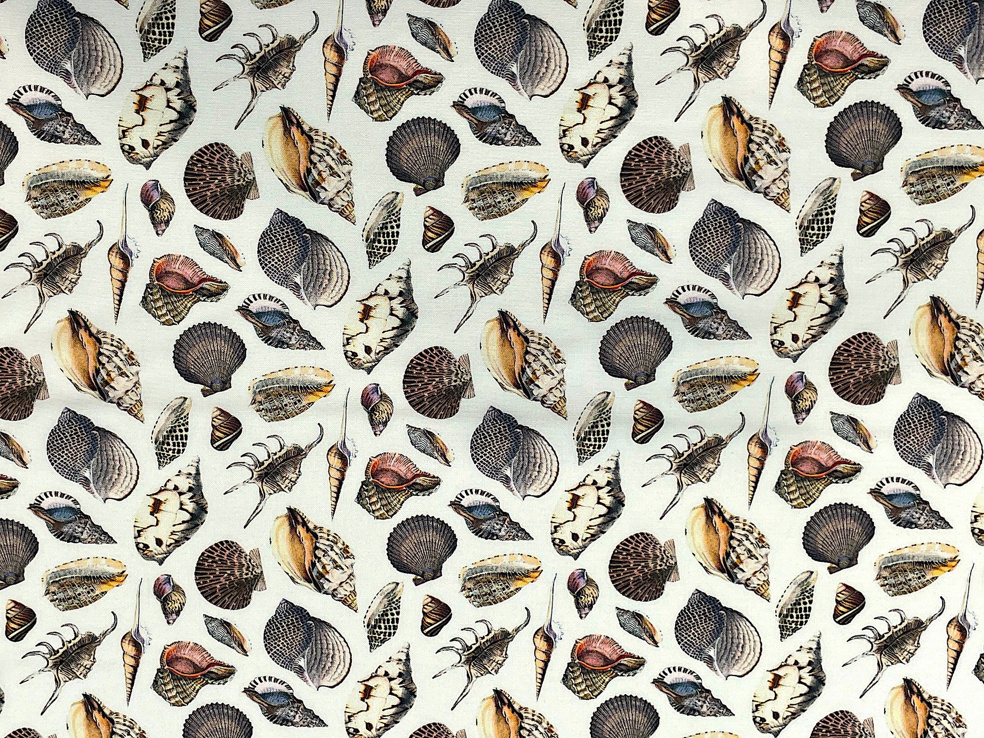 Off White cotton fabric covered with seashells in a shades of cream, beige, brown and black. 
