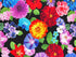 This black fabric is covered with colorful dahlias, peonies, clematis, petunias and other flowers.