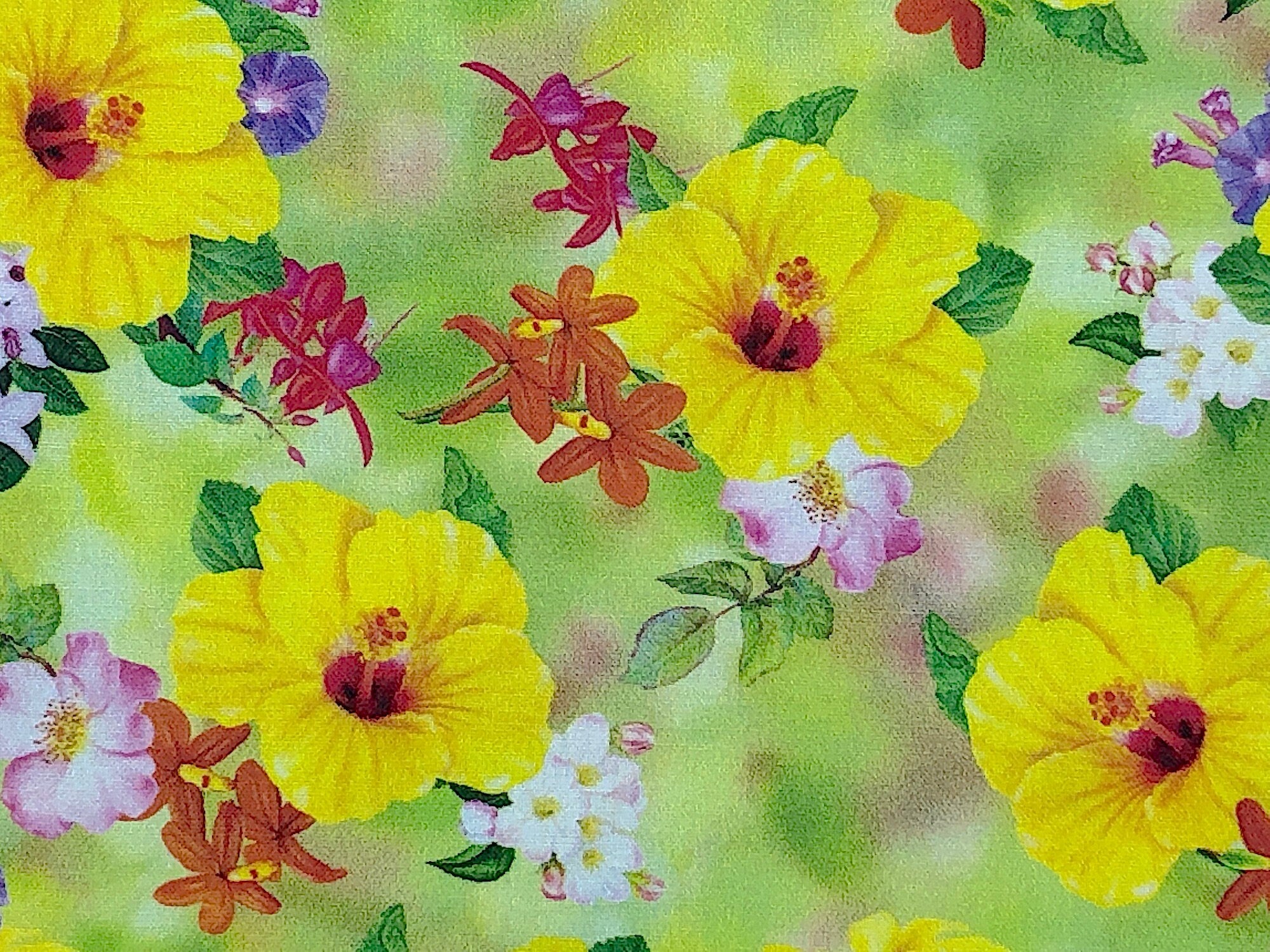 Part of the Hummingbird Garden collection this fabric is covered with yellow hibiscus. You will also find fuchsias and dogwoods