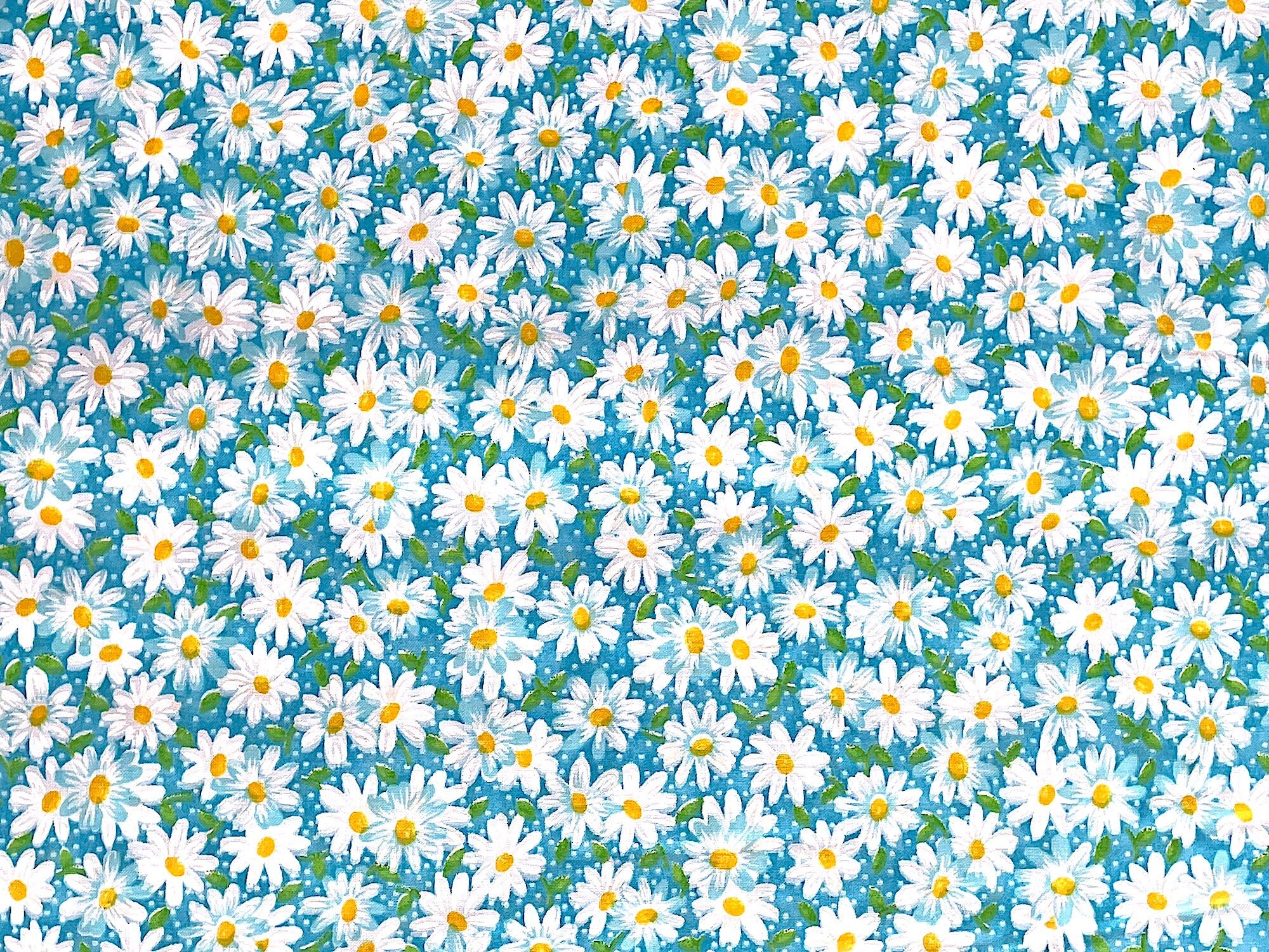 White Daisies with yellow centers on a teal background.