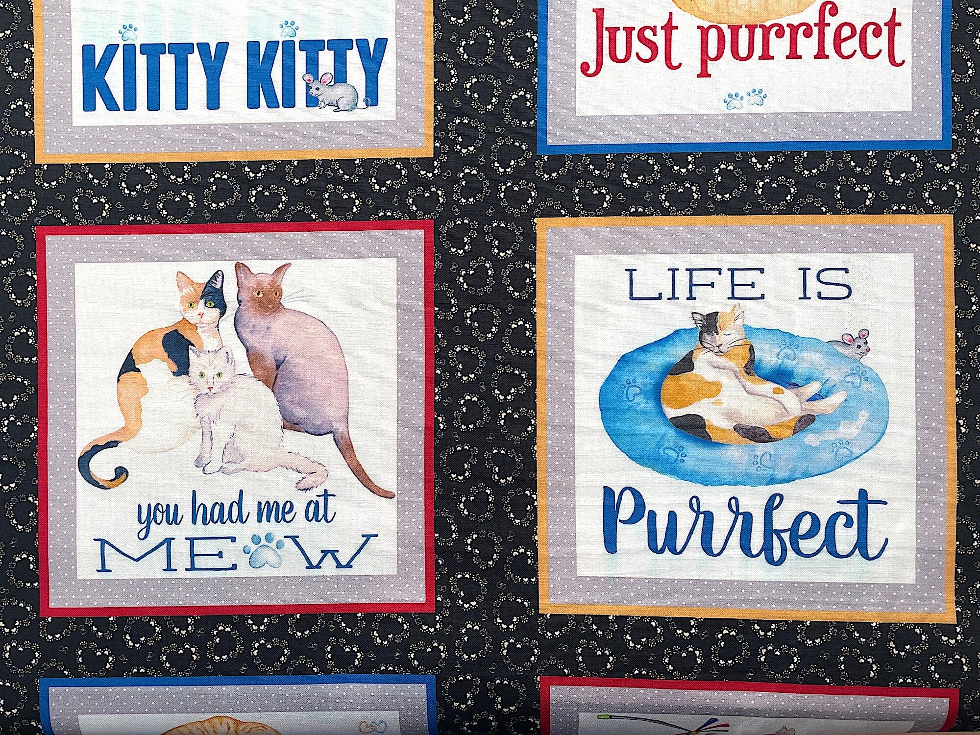 Close up of a cat square that says Life is purrfect and there is a cat in a cat bed.