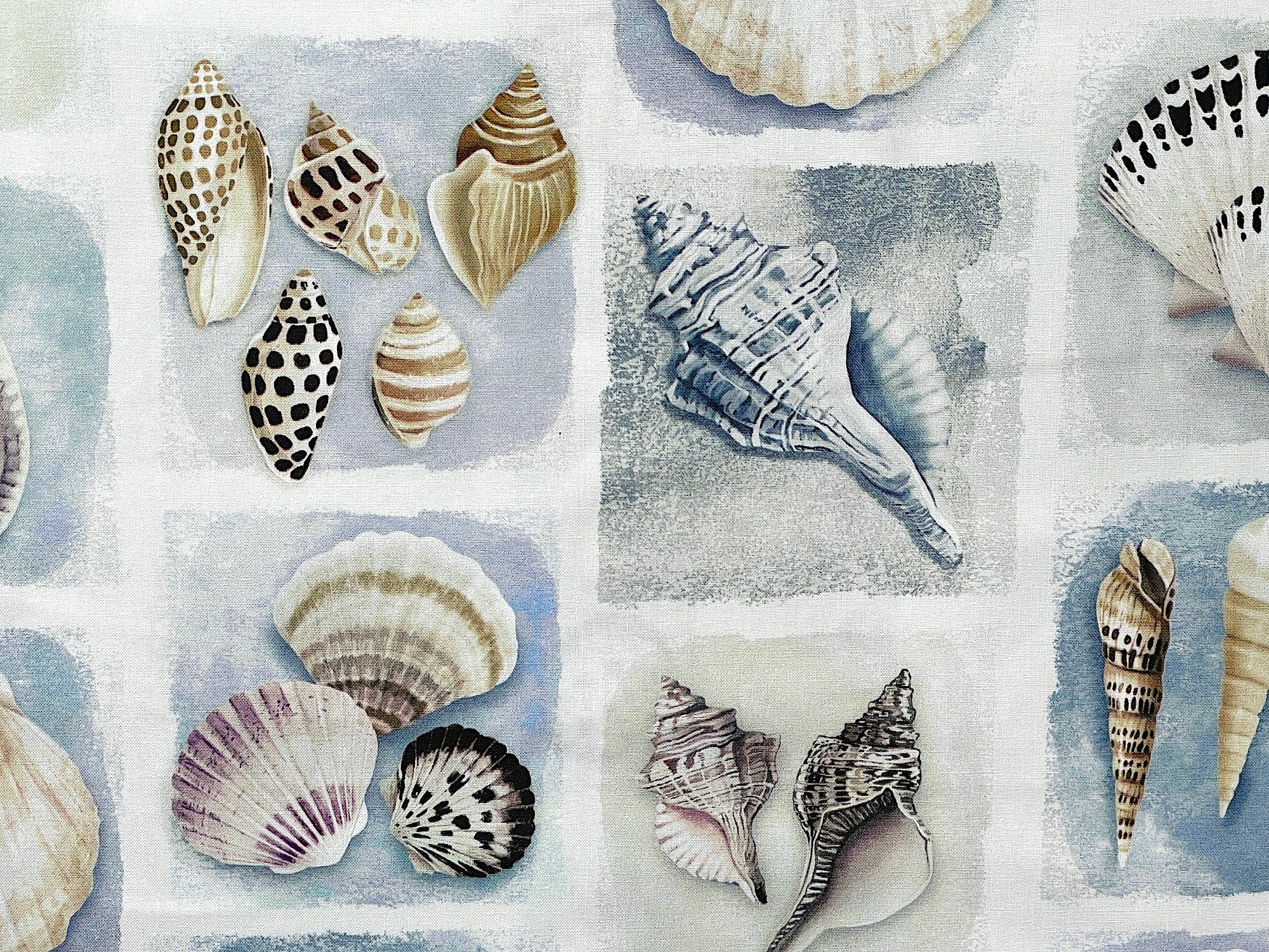 Cotton fabric covered with sea shells.