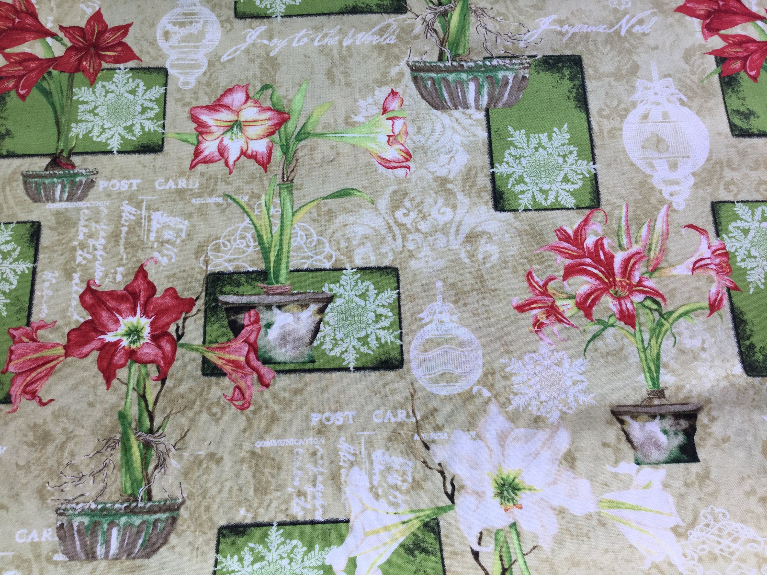Amaryllis in pots on a light beige background. This fabric is part of the Christmas in bloom collection.