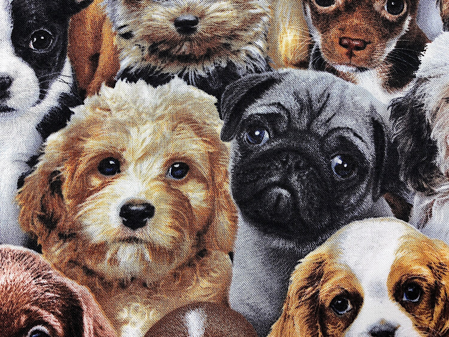 Several colors and breeds of dogs cover this fabric.