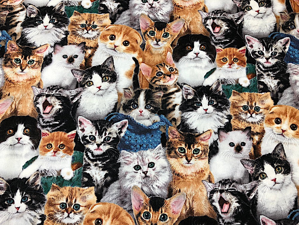 Cotton fabric covered with various cat breeds.