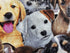 Several colors and breeds of dogs cover this fabric.