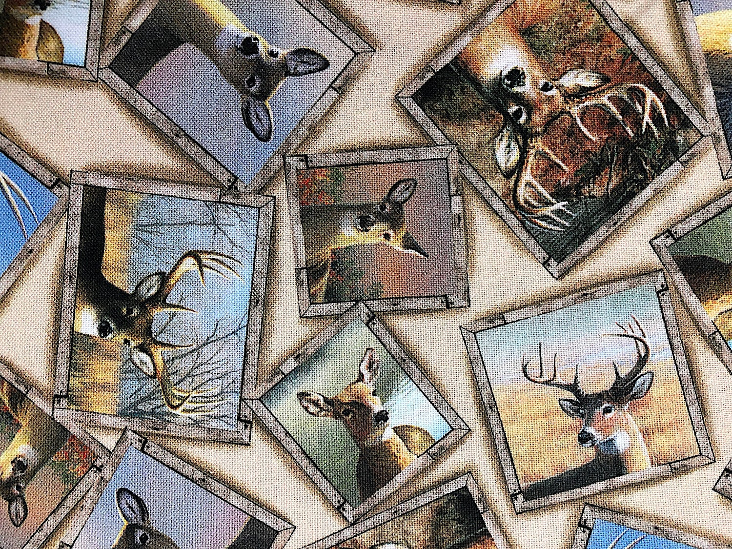 Pictures of deer in frames.