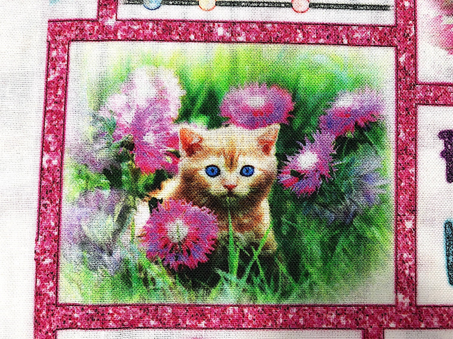 Close up of a beige kitty amongst the flowers and grass.