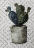 Close up of a cactus in a pot.