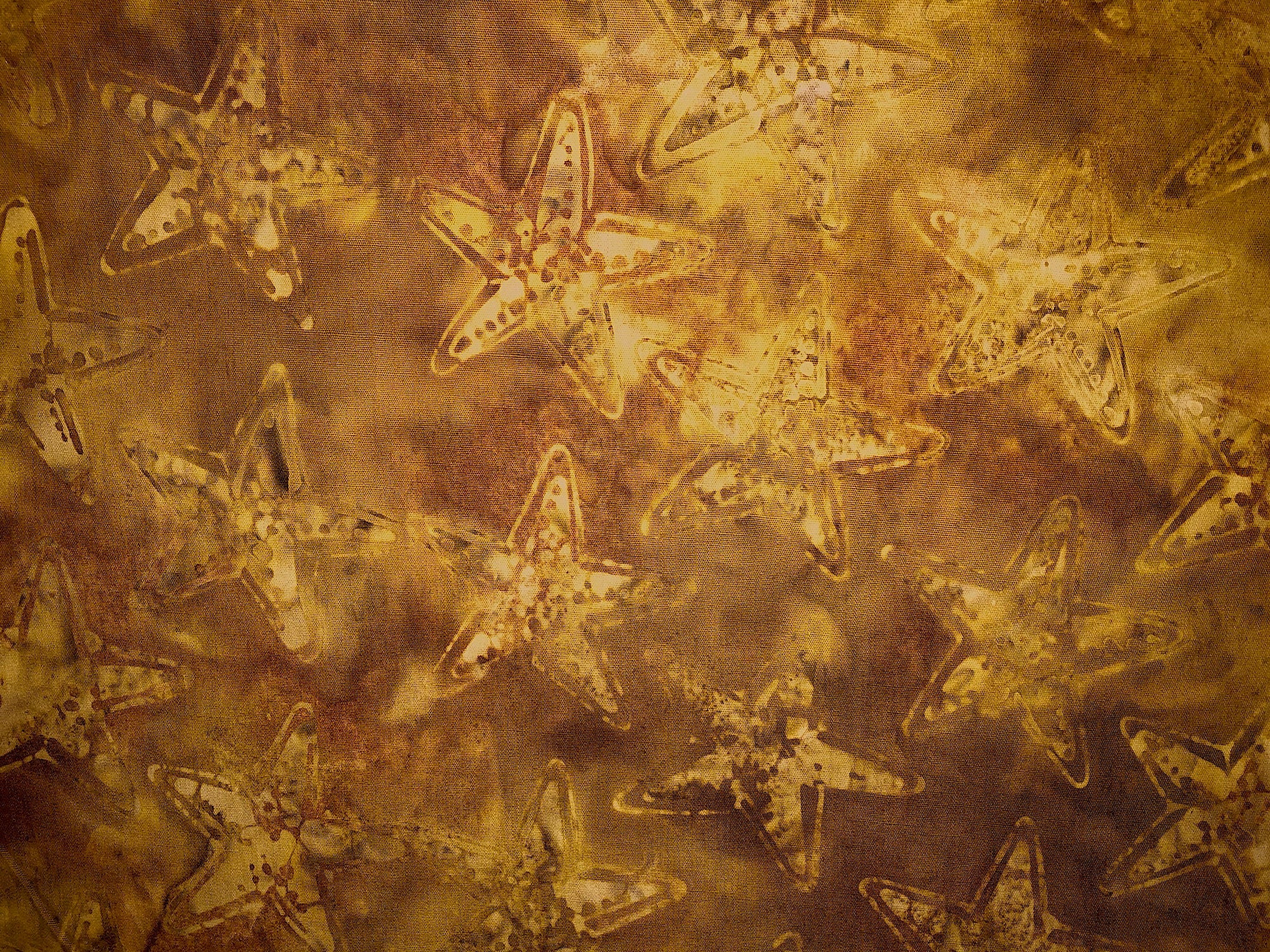 This batik fabric is called Starfish Spicy Mustard and has starfish on a background that is in the gold tones.