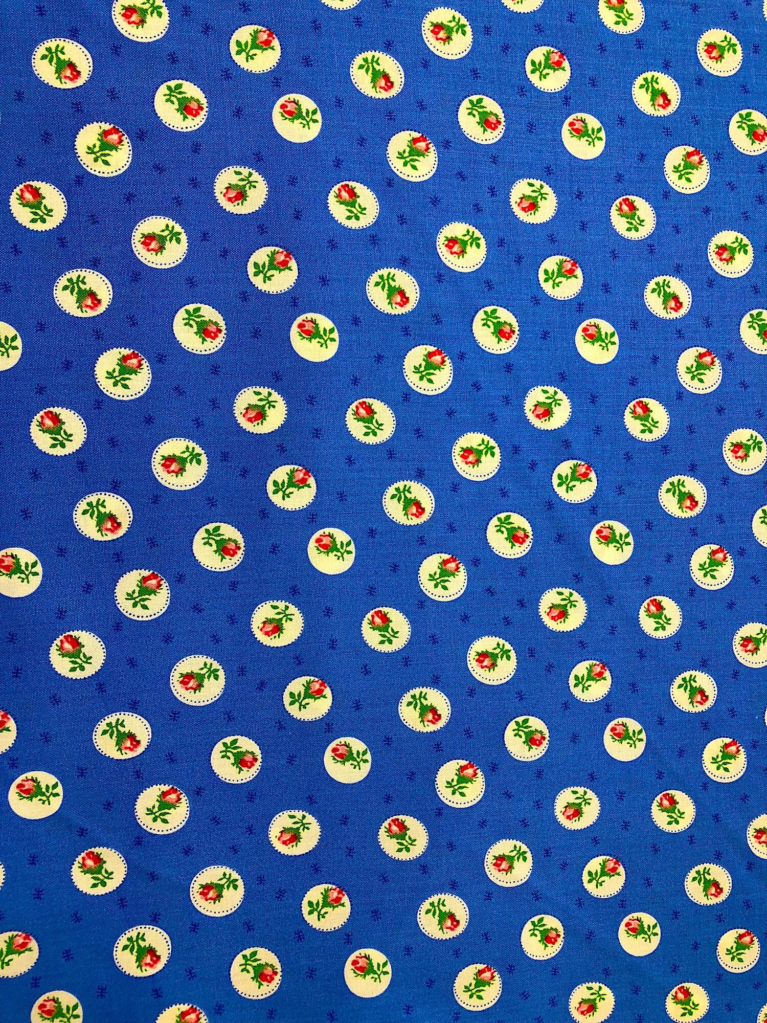 This fabric is called First Blush by Ruby Red Designs. Rosebuds in white circles on a blue background.