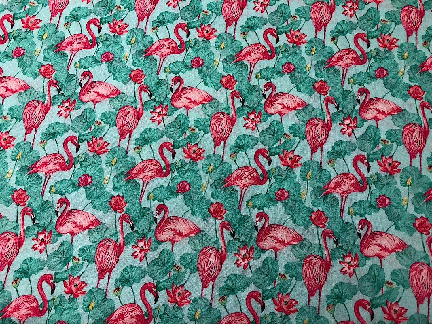 Close up of pink flamingoes and green leaves.