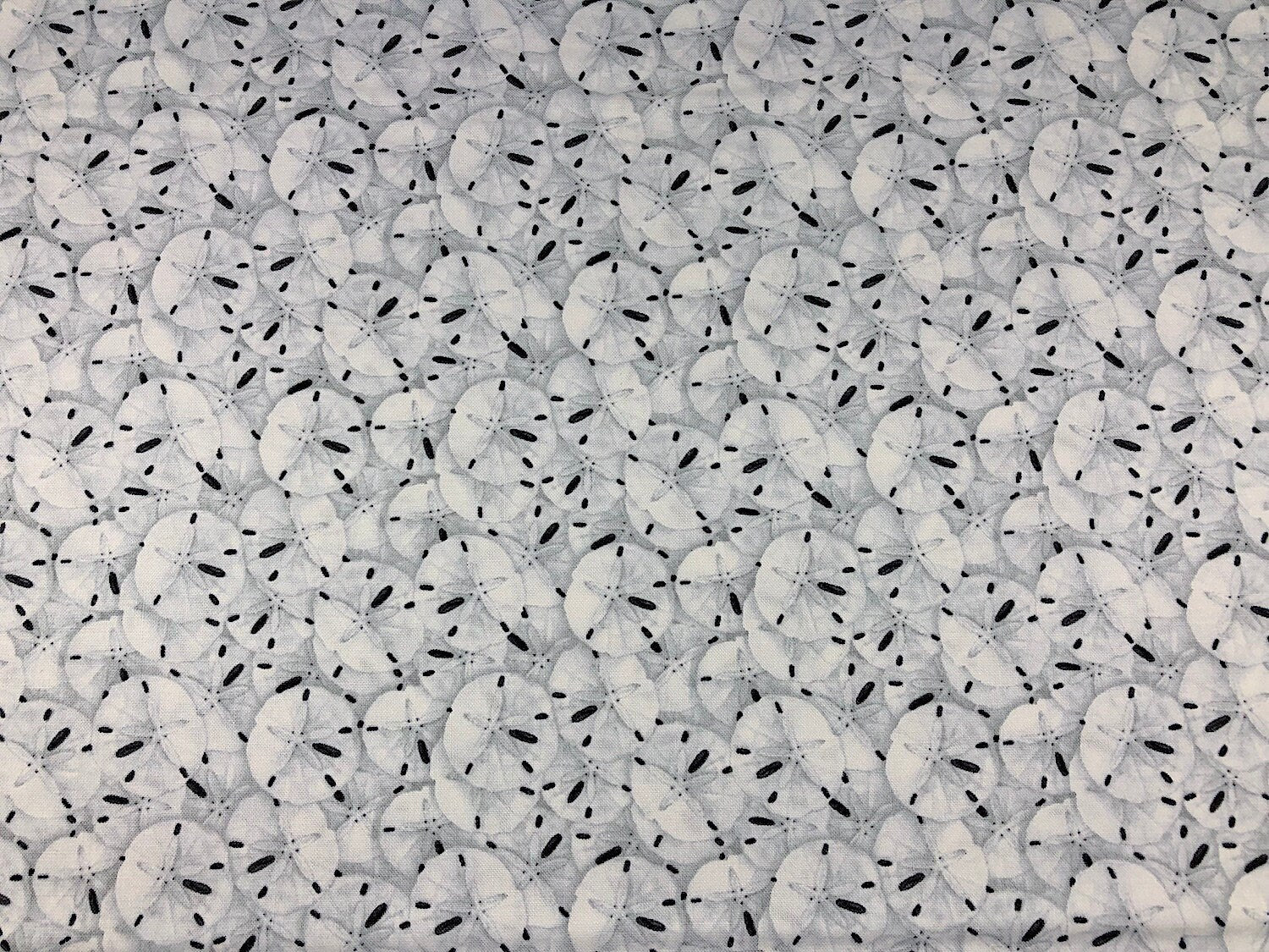 Cotton fabric covered with sand dollars.