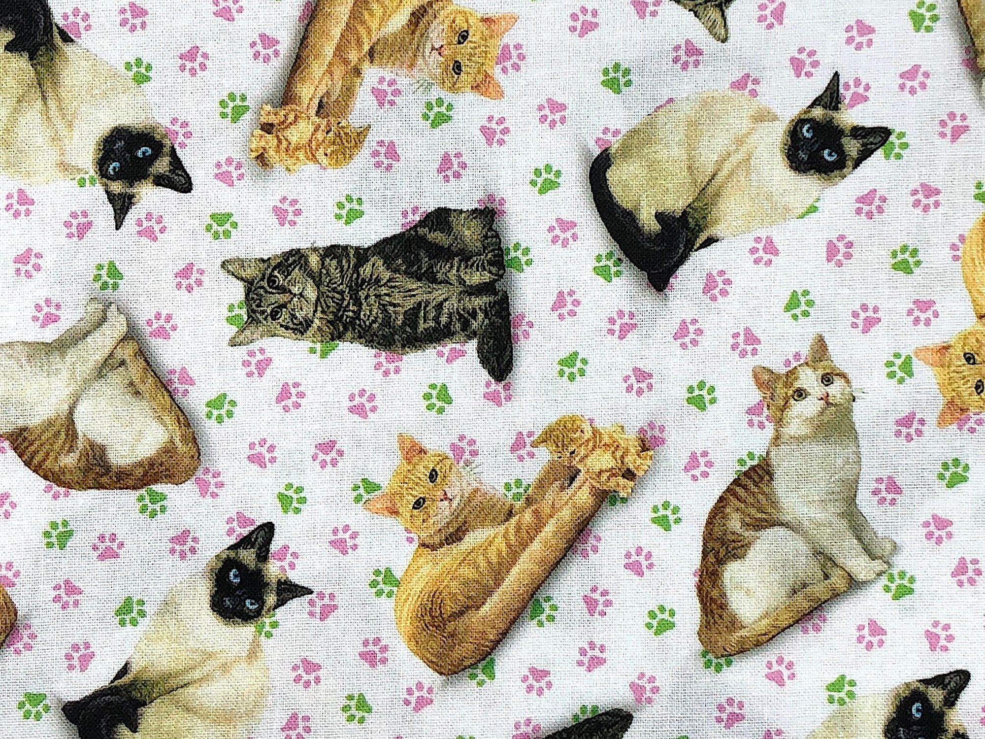 Close up of cats and pink and green paw prints on a white background.