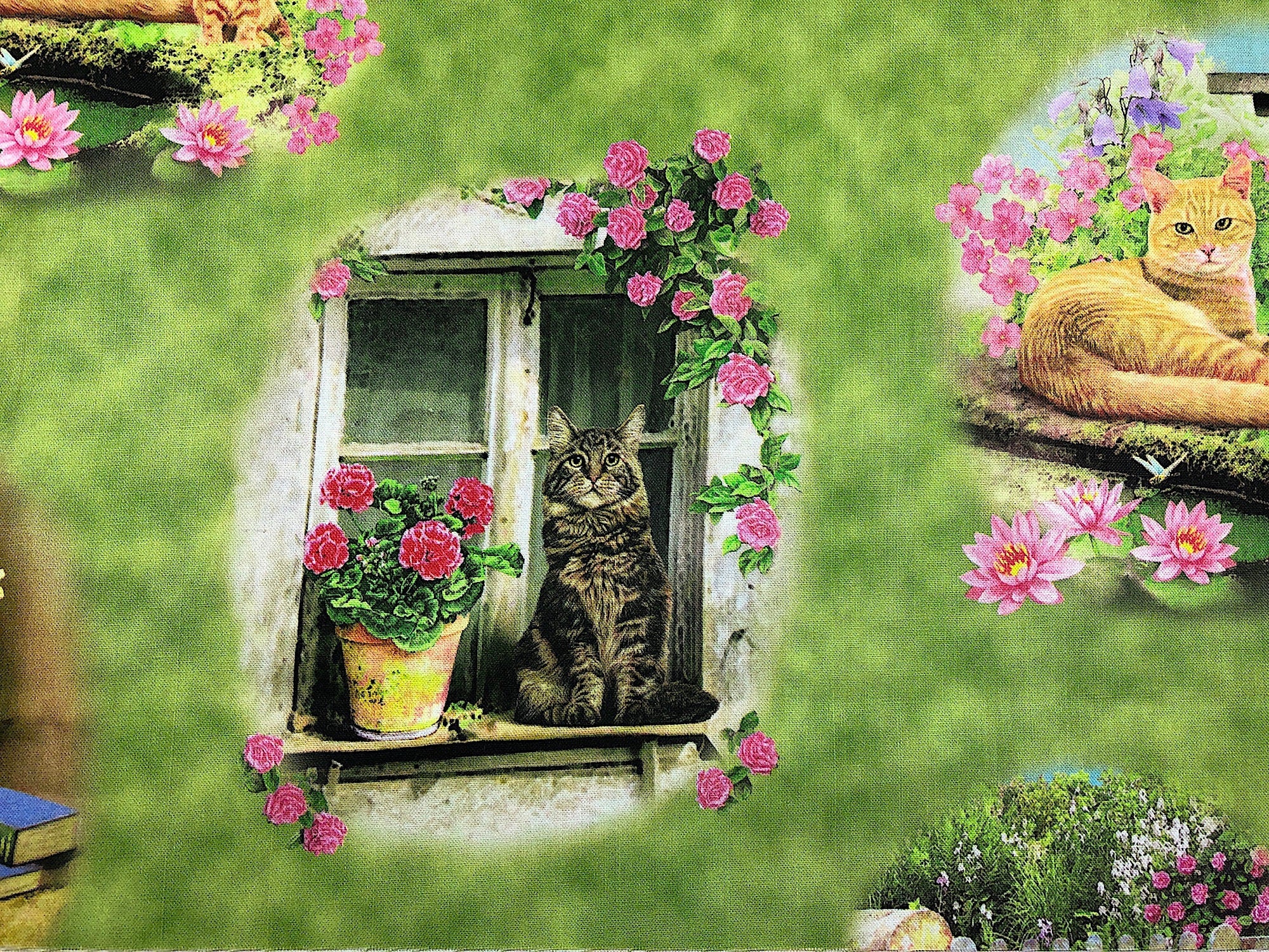 Close up of a cat sitting in a window frame beside a pot of geraniums.