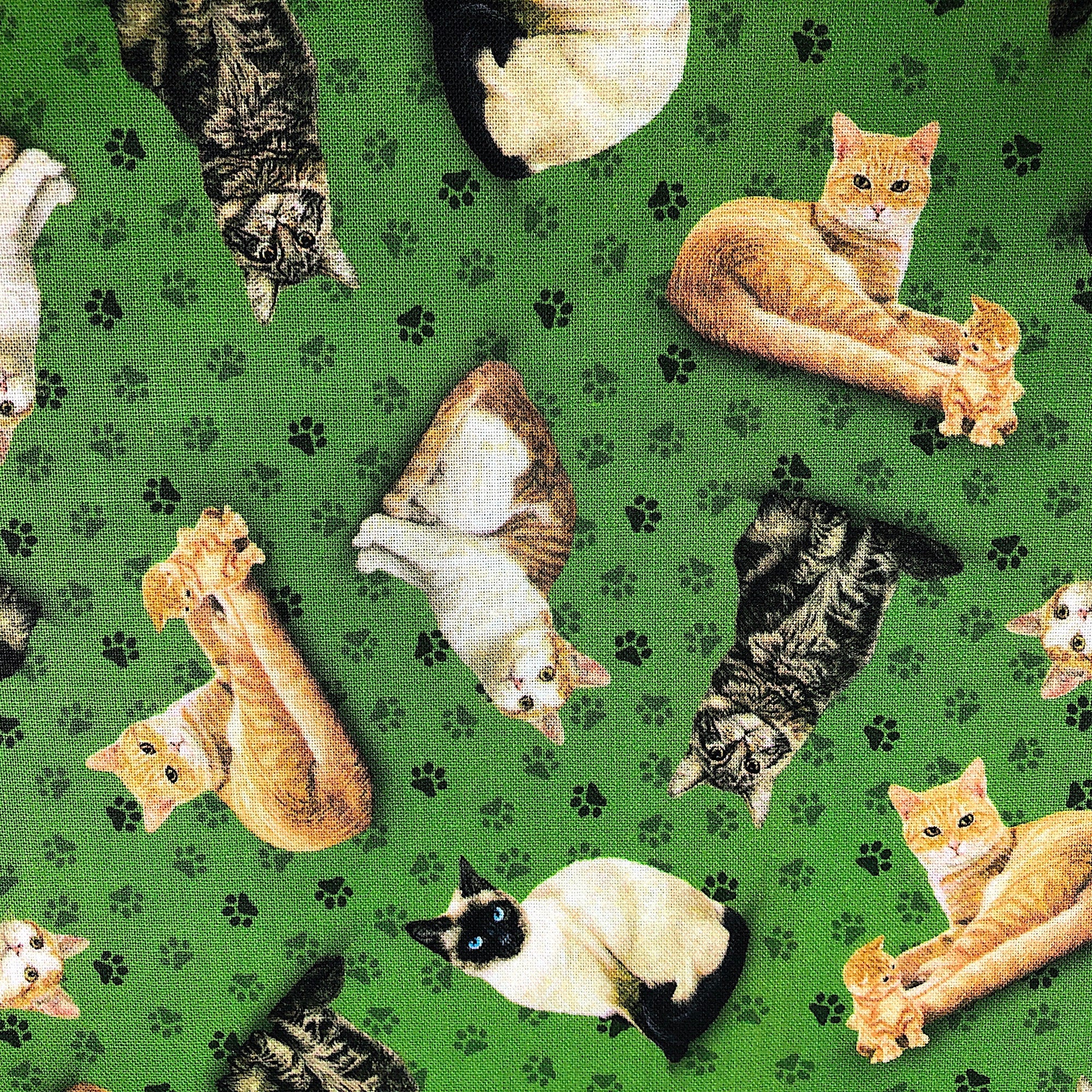 Various cat breeds on a green background which is covered with paw prints. This fabric is part of the Fancy Felines collection
